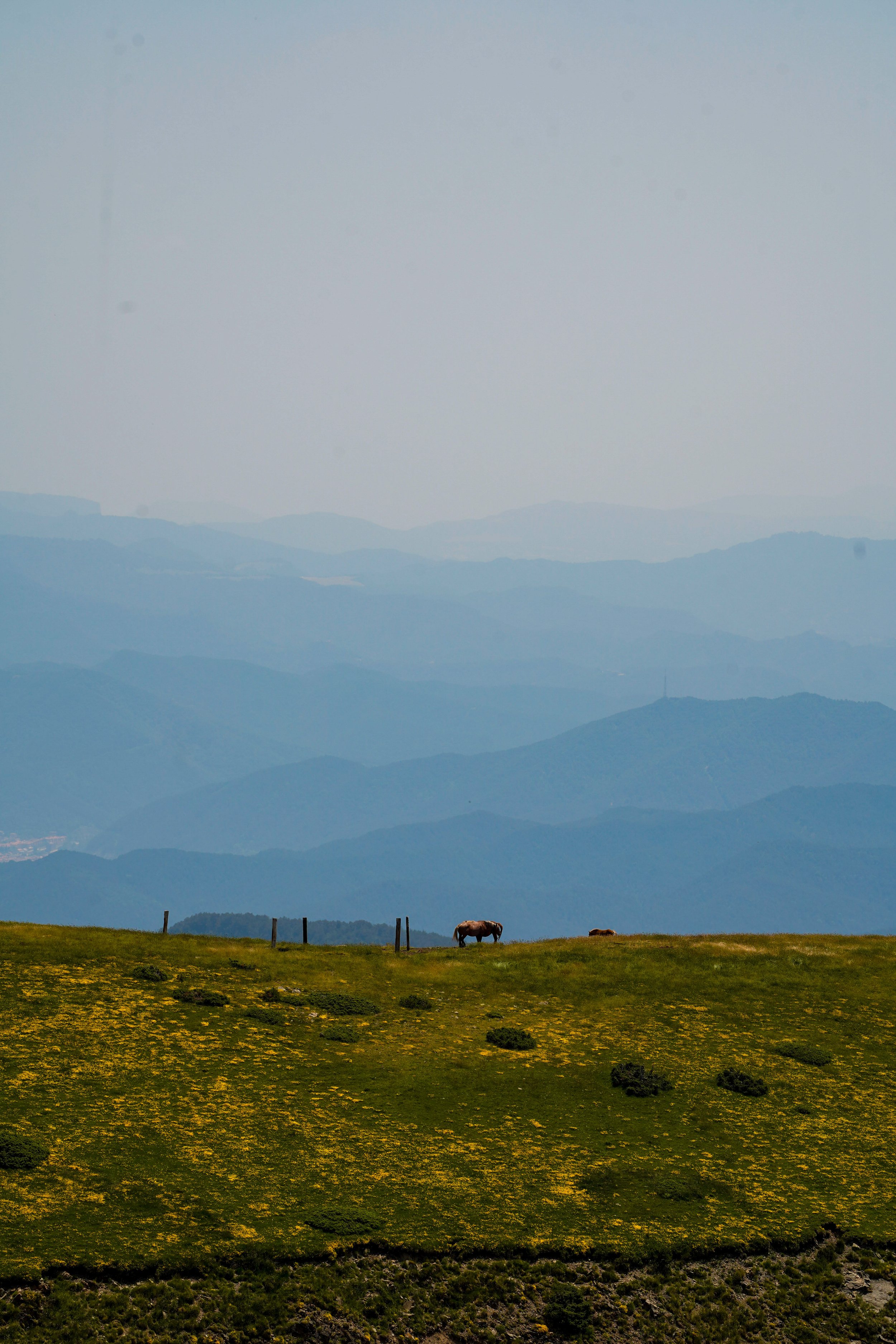 the ventourist-08.jpg