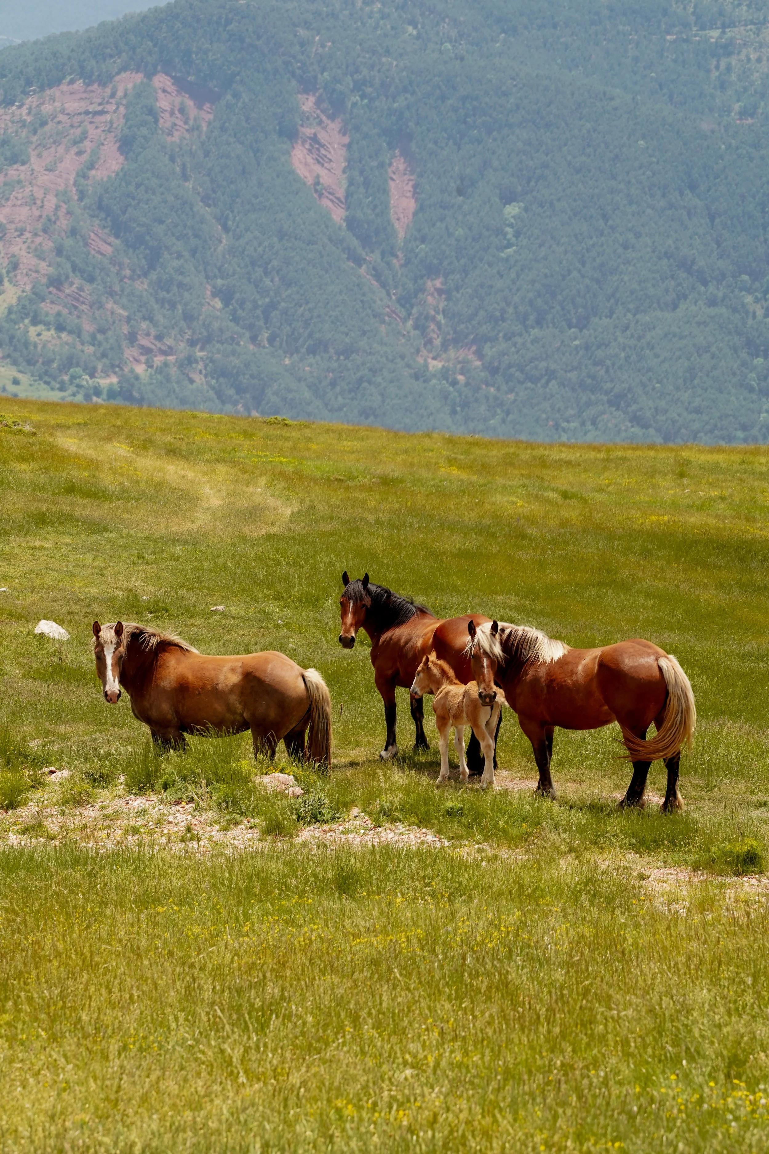 the ventourist-06.jpg