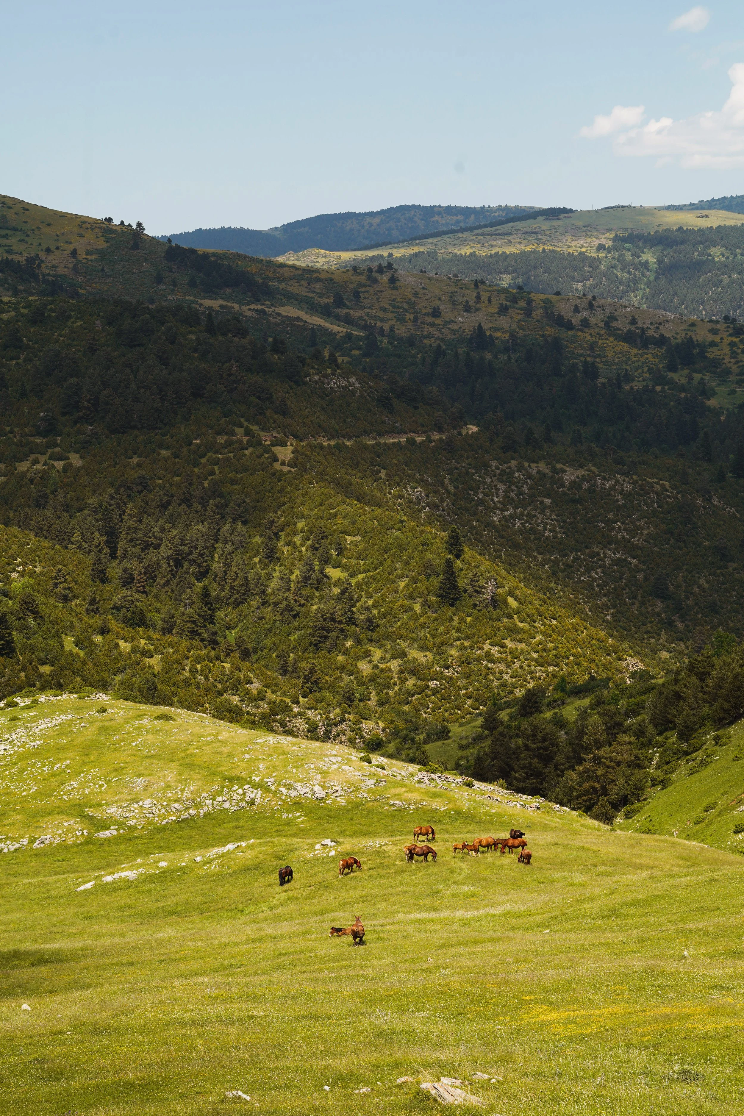 the ventourist-18.jpg