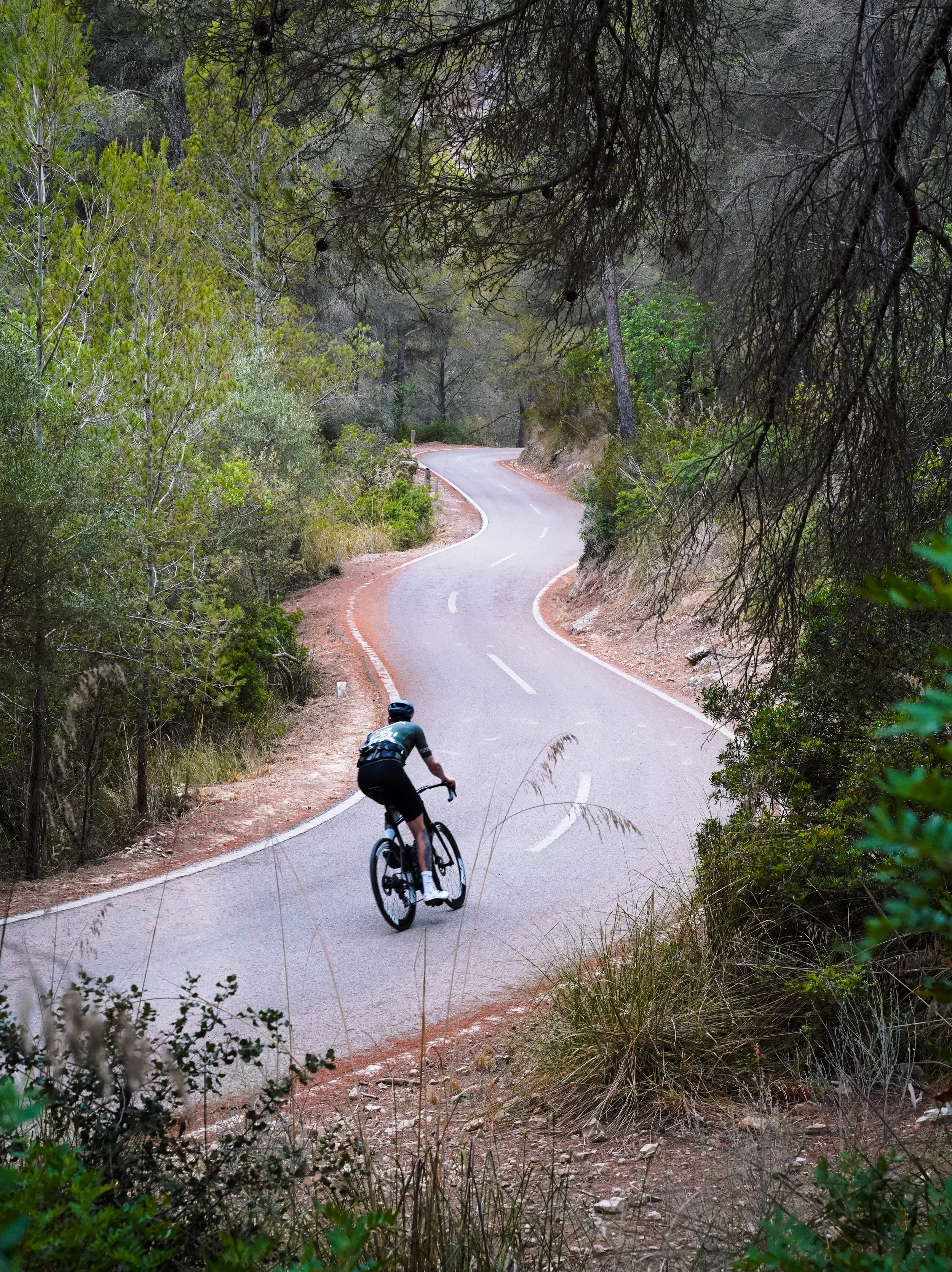 A cyclist riding a mountain bike on a winding road through a forested area with dense trees and bushes.