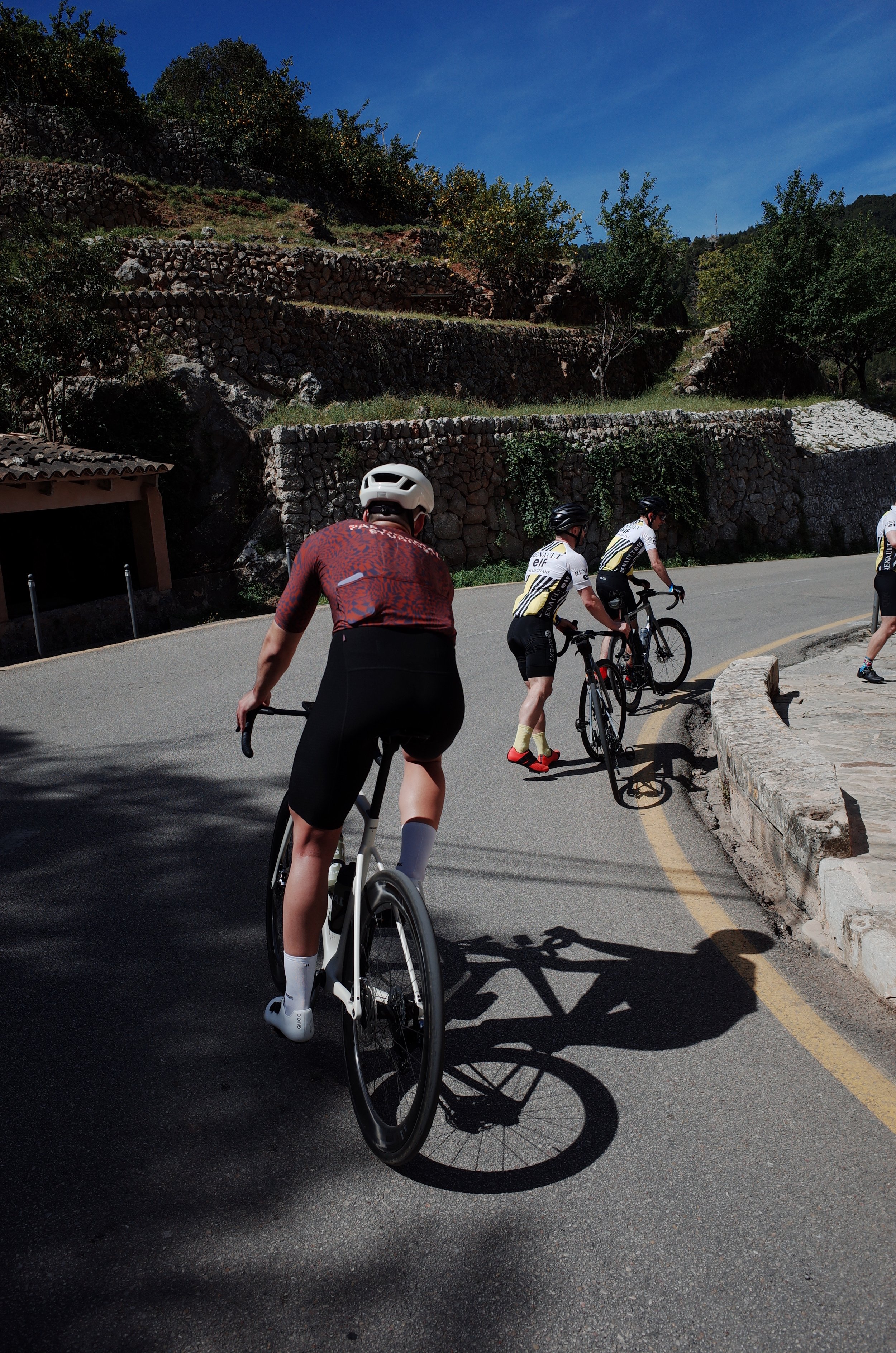 Cyclists riding uphill on a curved mountain road with rocky terraced slopes and trees in the background.