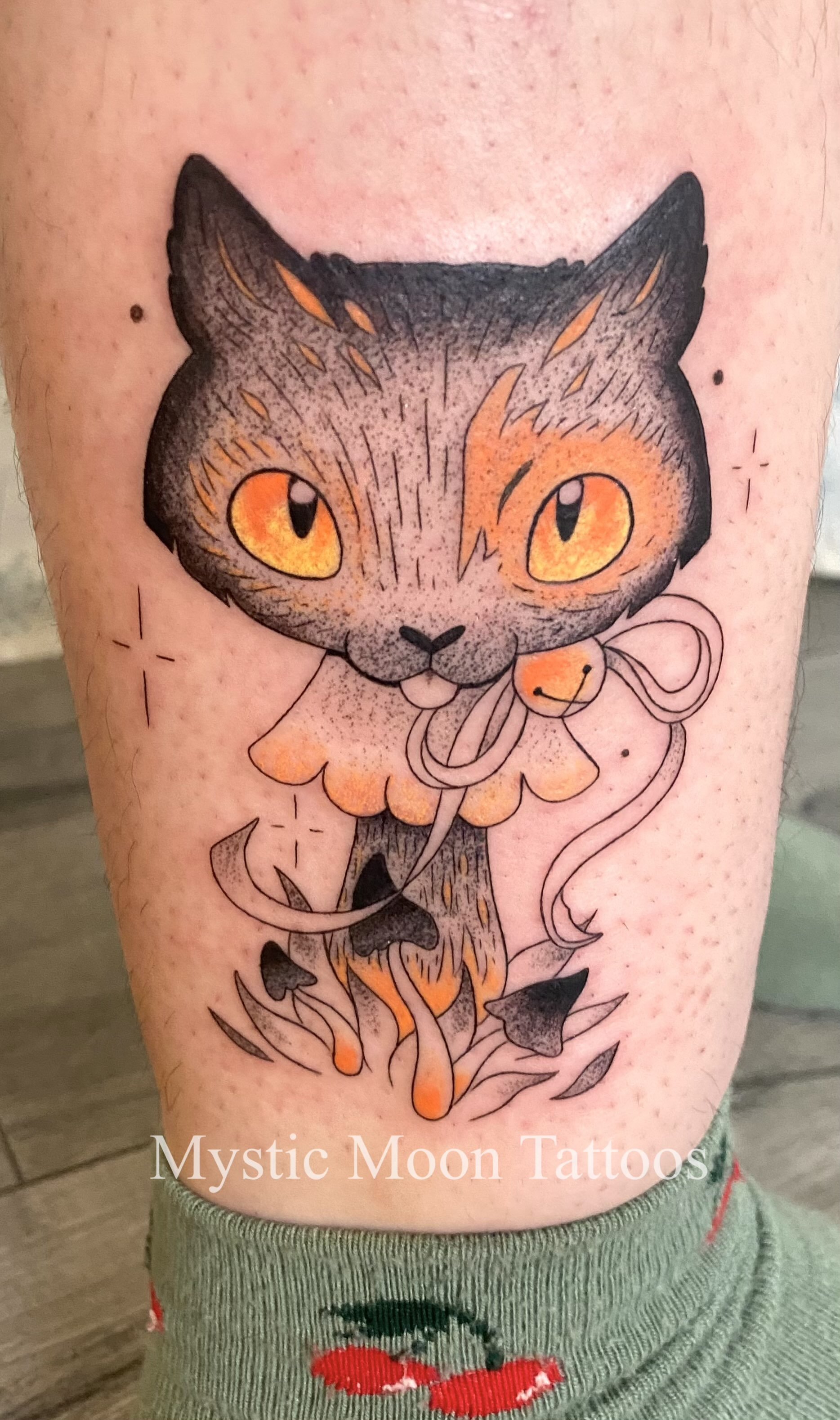 Oh no, we turned your cat into a mushroom! A fun, creative pet portrait.