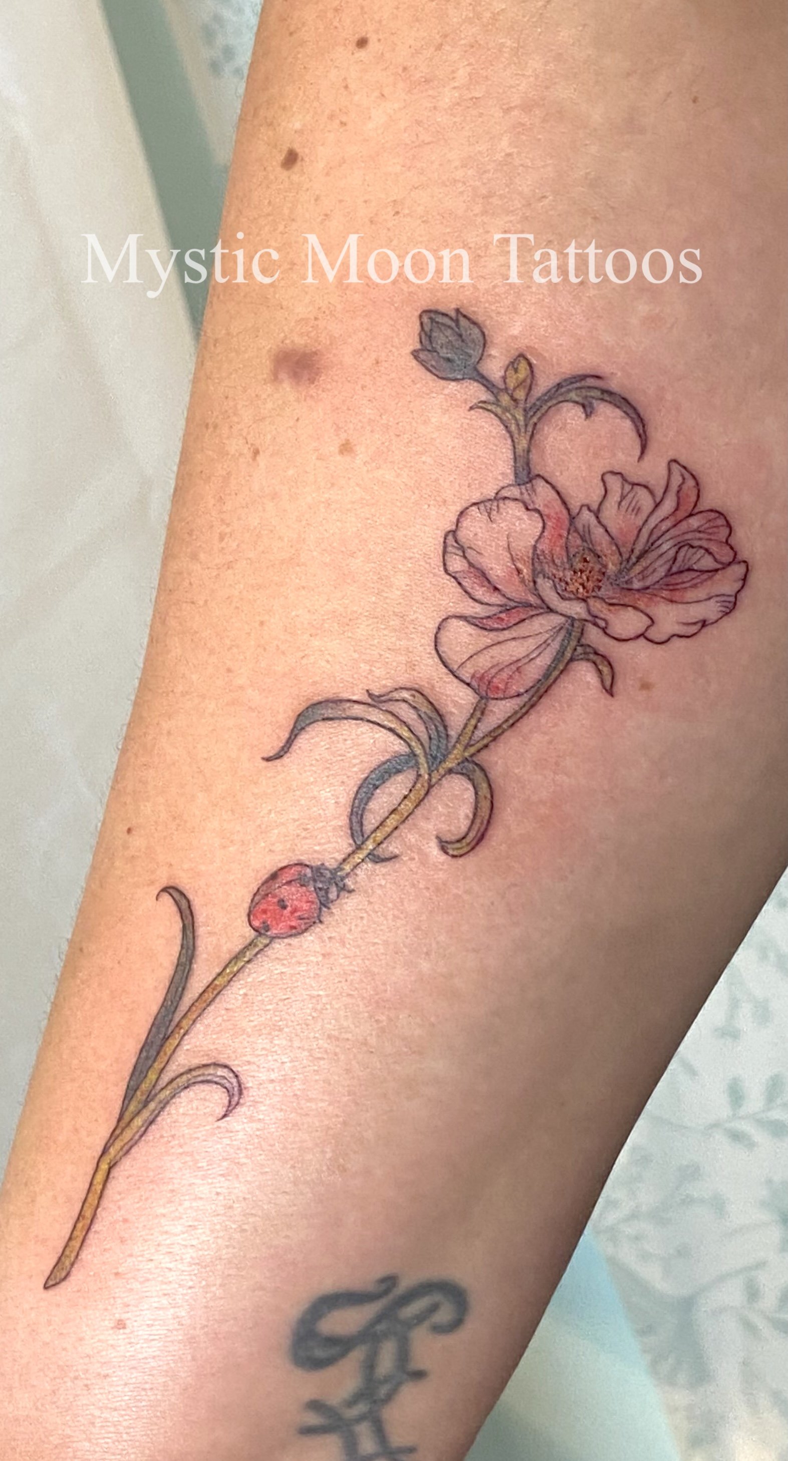 Delicate colour floral with little ladybug!