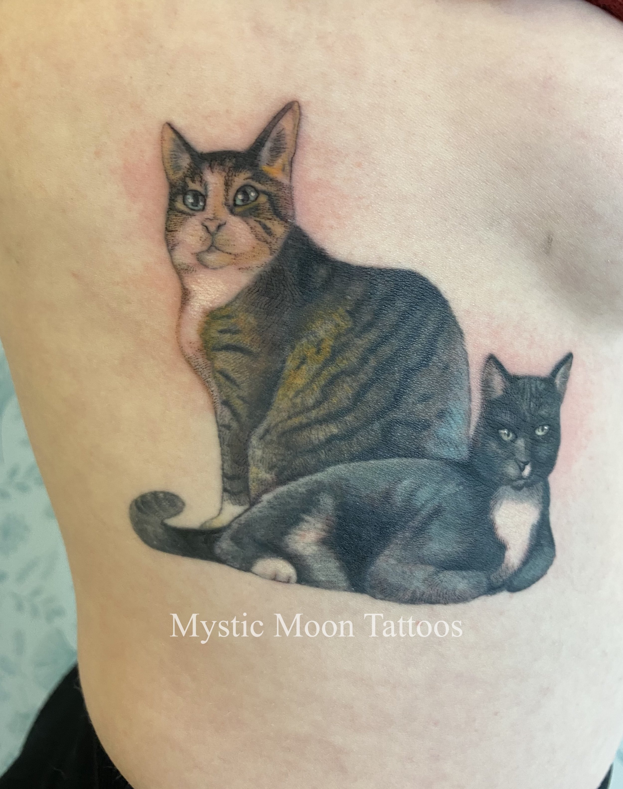 Little realistic colour kitty cats right on the ribs! Ouch, that's a lot of details!
