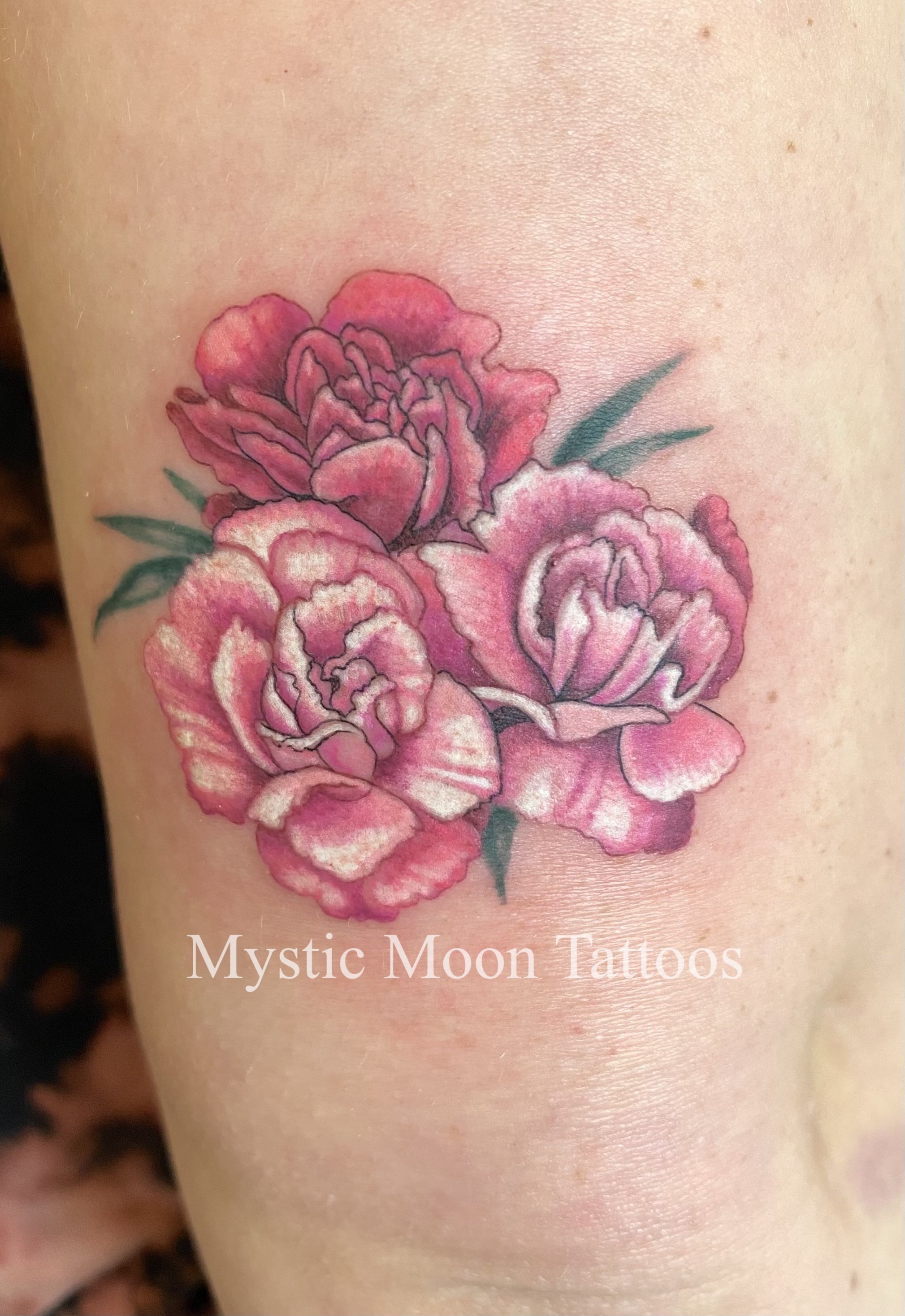 Delicate small pink carnation bundle, lots of little soft details.