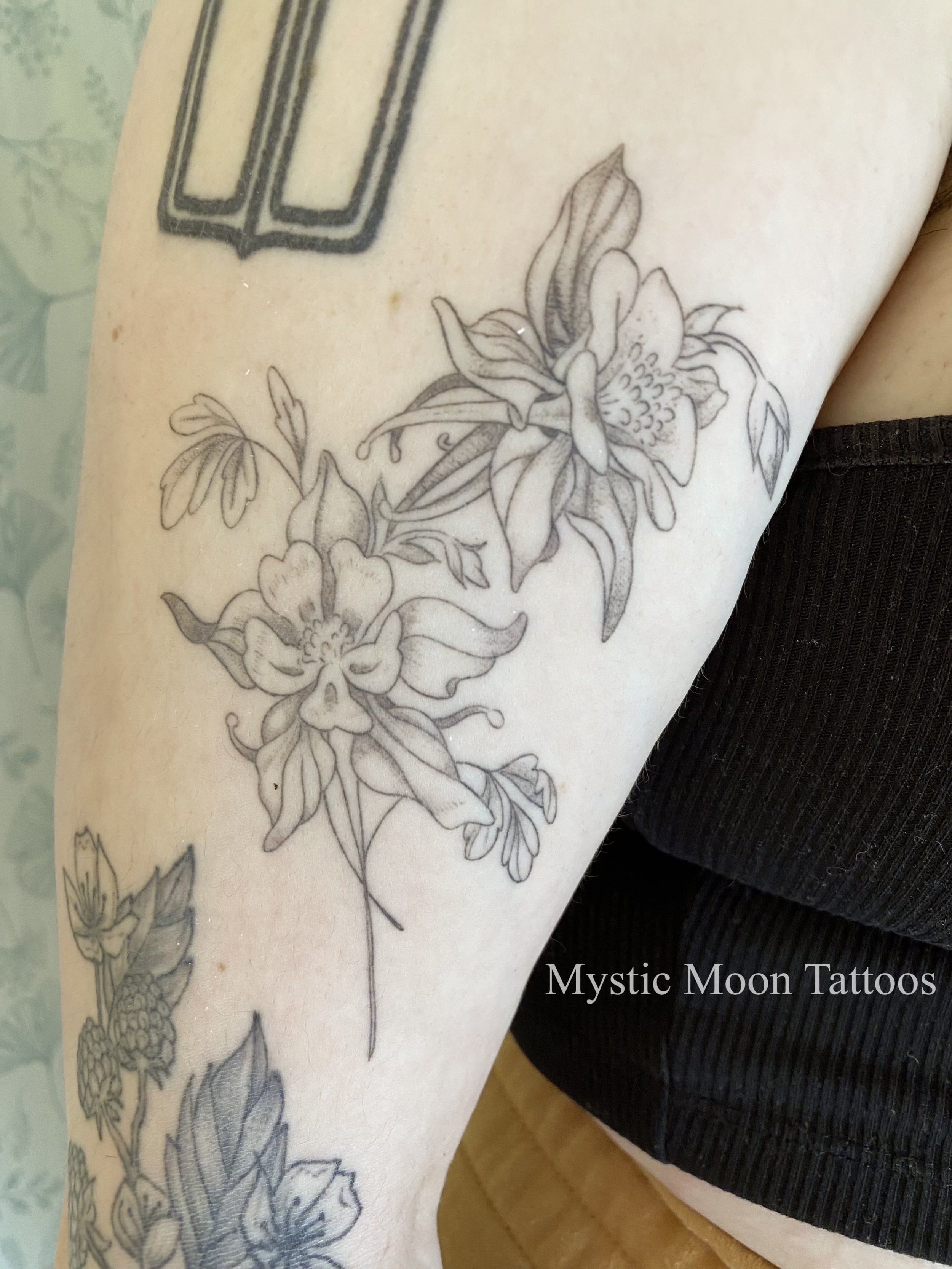 Trying to remember the name of this flower, then googling it, seeing the flower, but then all the links are "1000 unique flowers", just give me the damn flower name! Lets start over, the Columbine, or Aquilegia looks like it belongs in a fantasy book