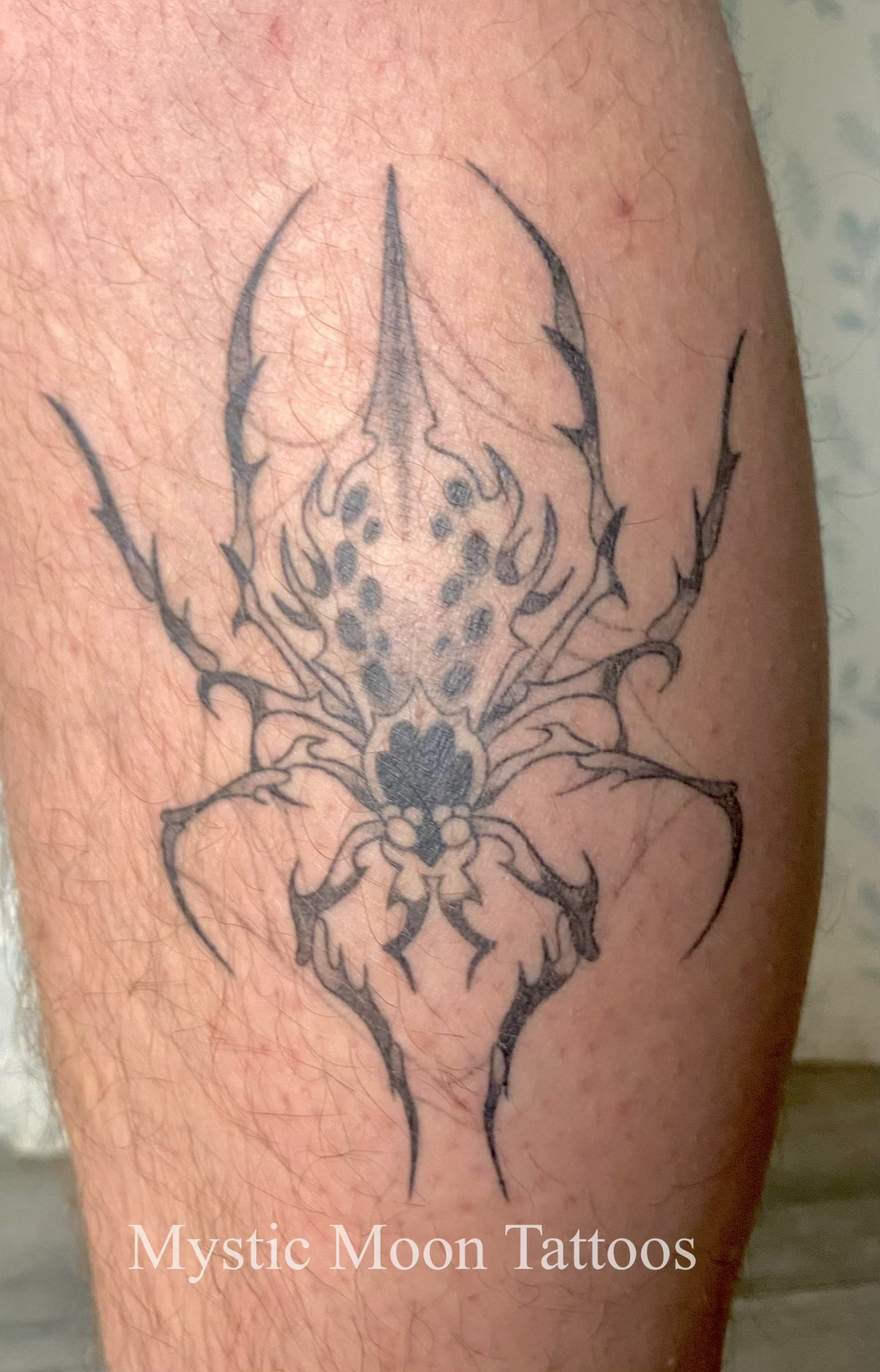 Spooky, scary, spider, from some flash!