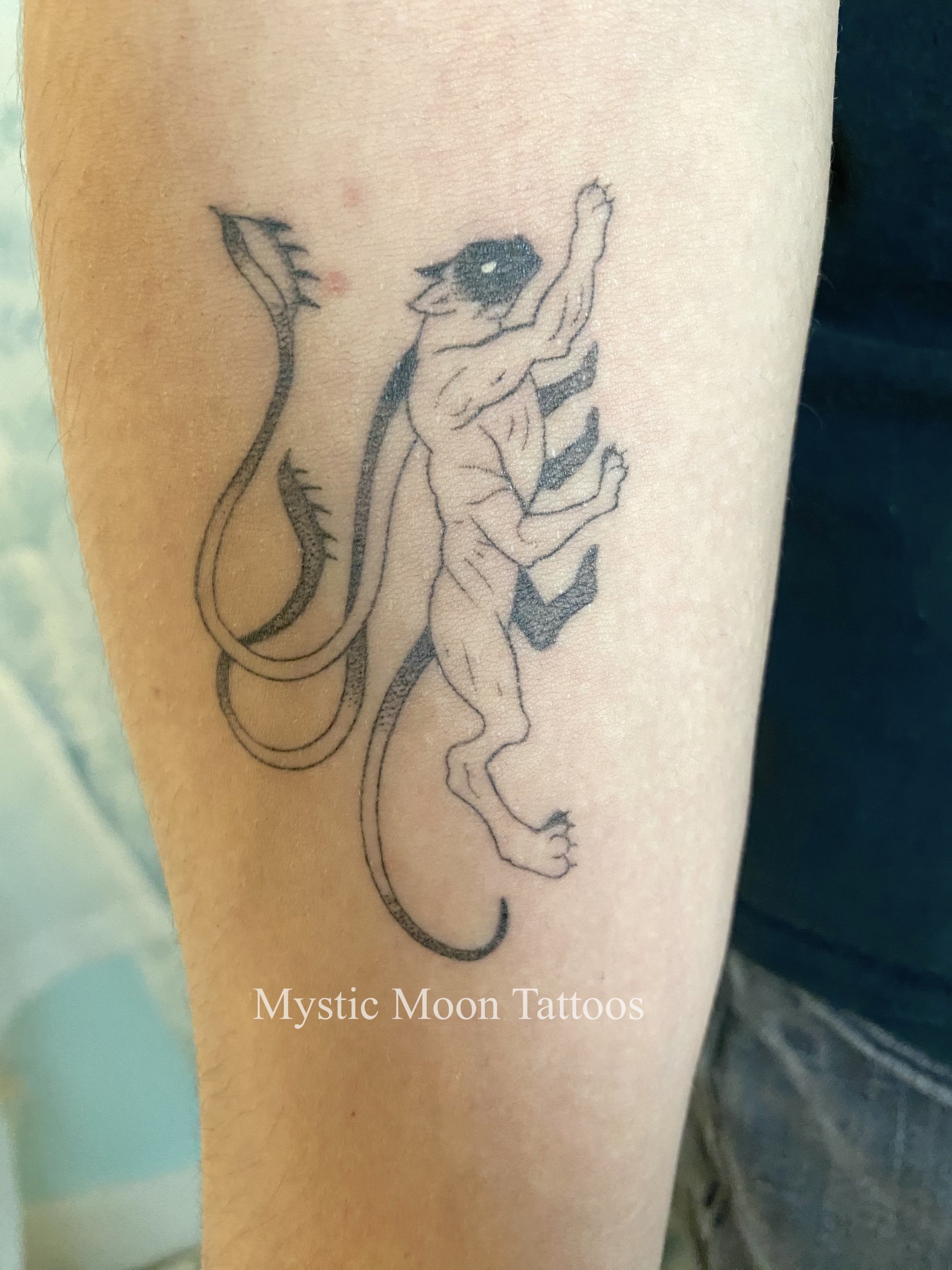 Healed Displacer beast from Magic the Gathering! Would %100 pet!