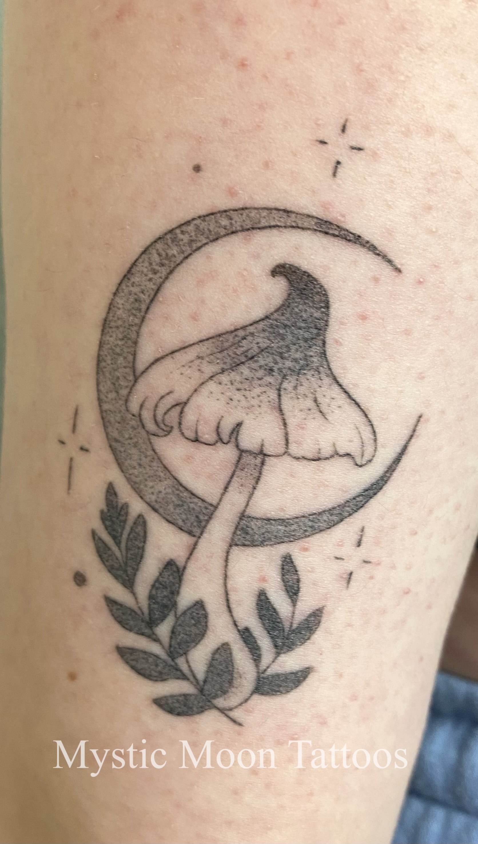 Healed moon mushroom, if only trauma healed this easily!