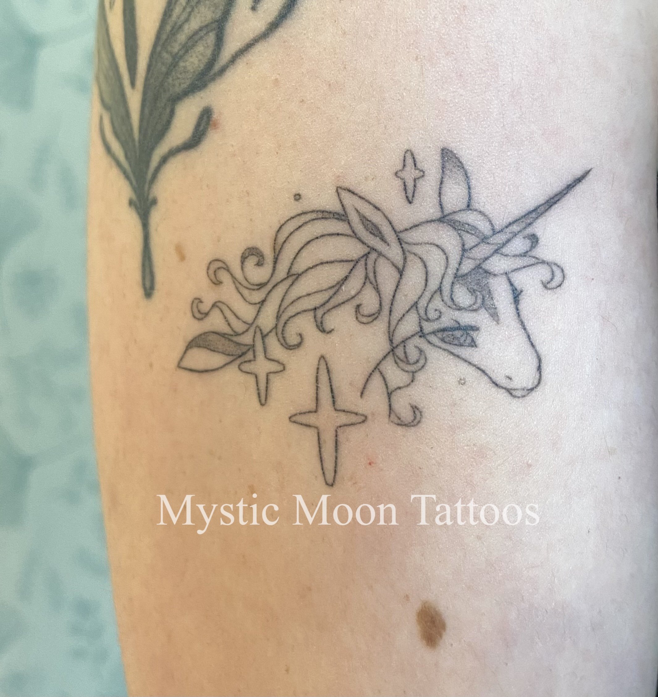 Last unicorn all healed up. Absolutely love the whimsical style!