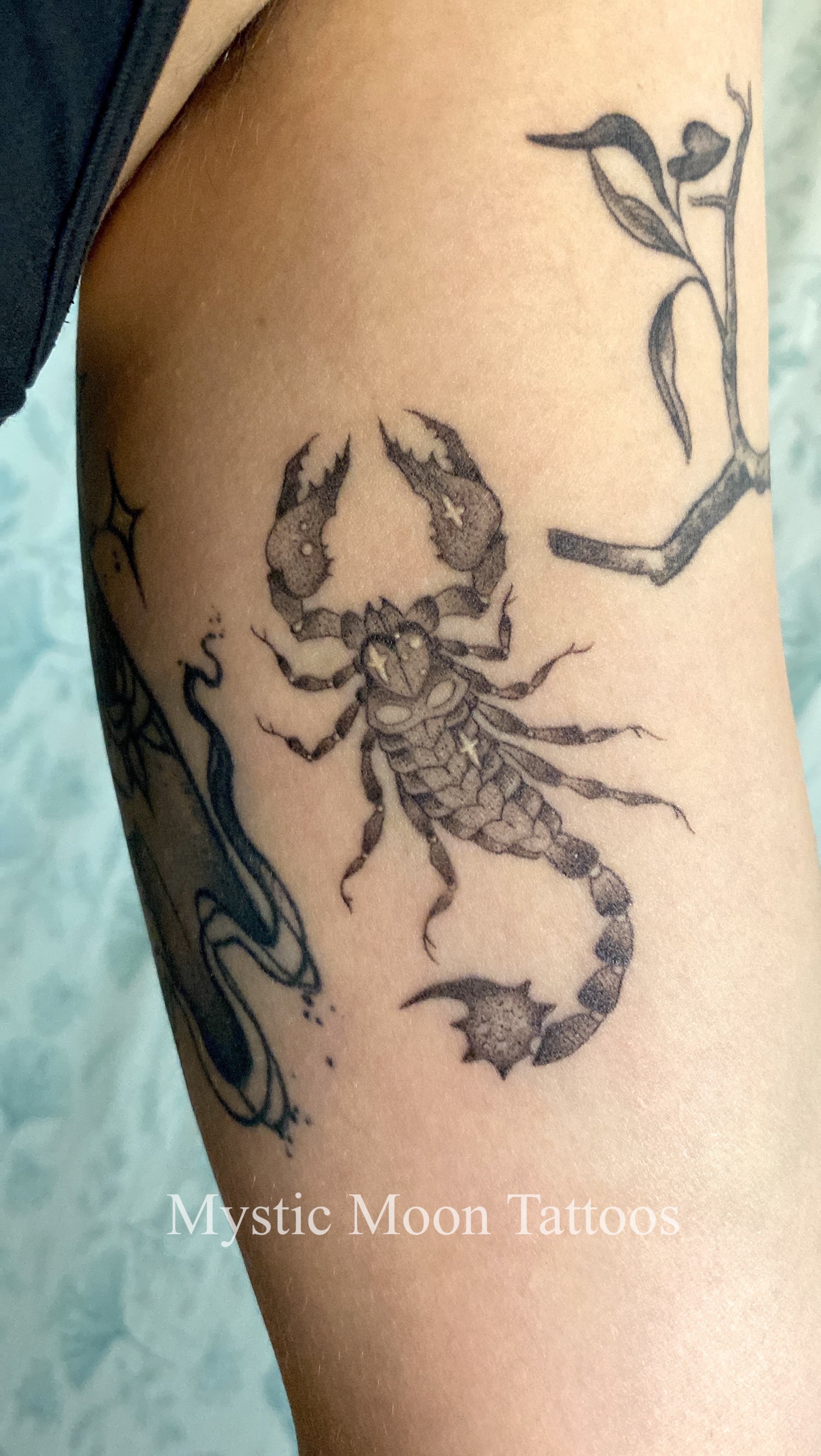 Starry scorpion, nicely healed. We squeezed her right into that little gap, real close to the armpit! I wonder what we'll tattoo above the scorpion, I'm sure it'll feel great!
