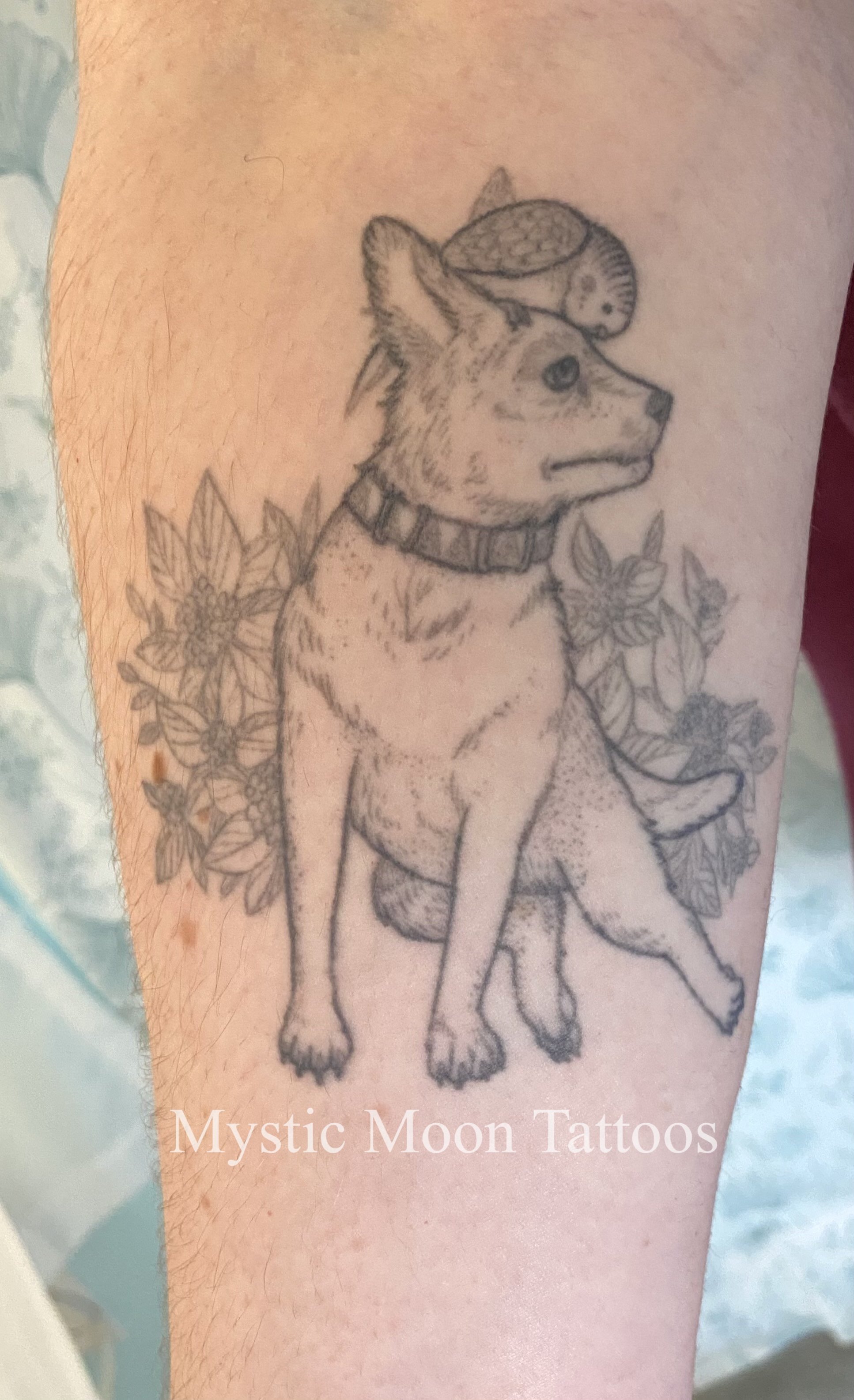 A sweet pet portrait all healed up for a few years! I love how all the little details on the budgie healed!