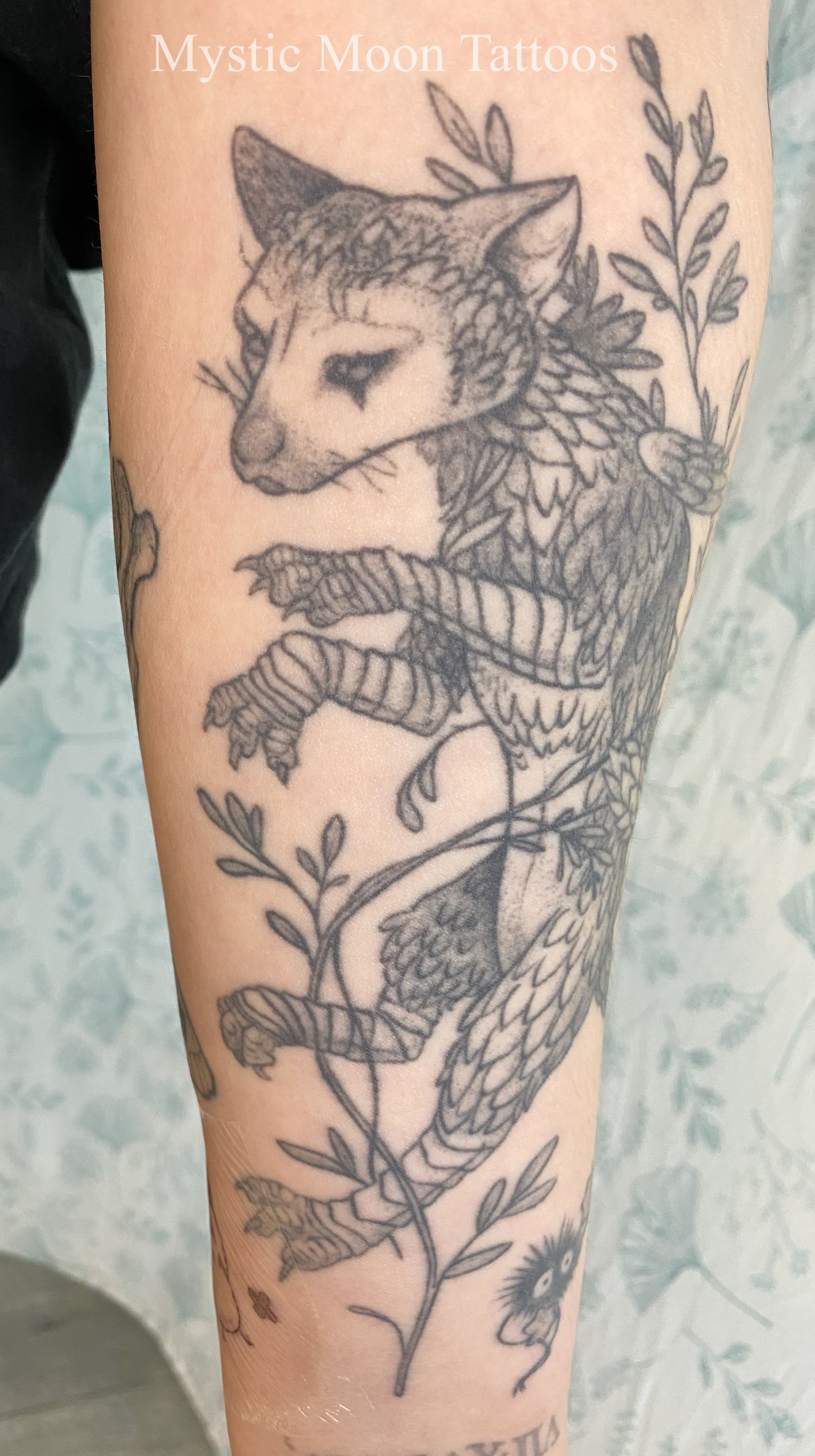 Trico from the video game The Last Guardian, this game looks so beautiful! Trico is a couple years healed!