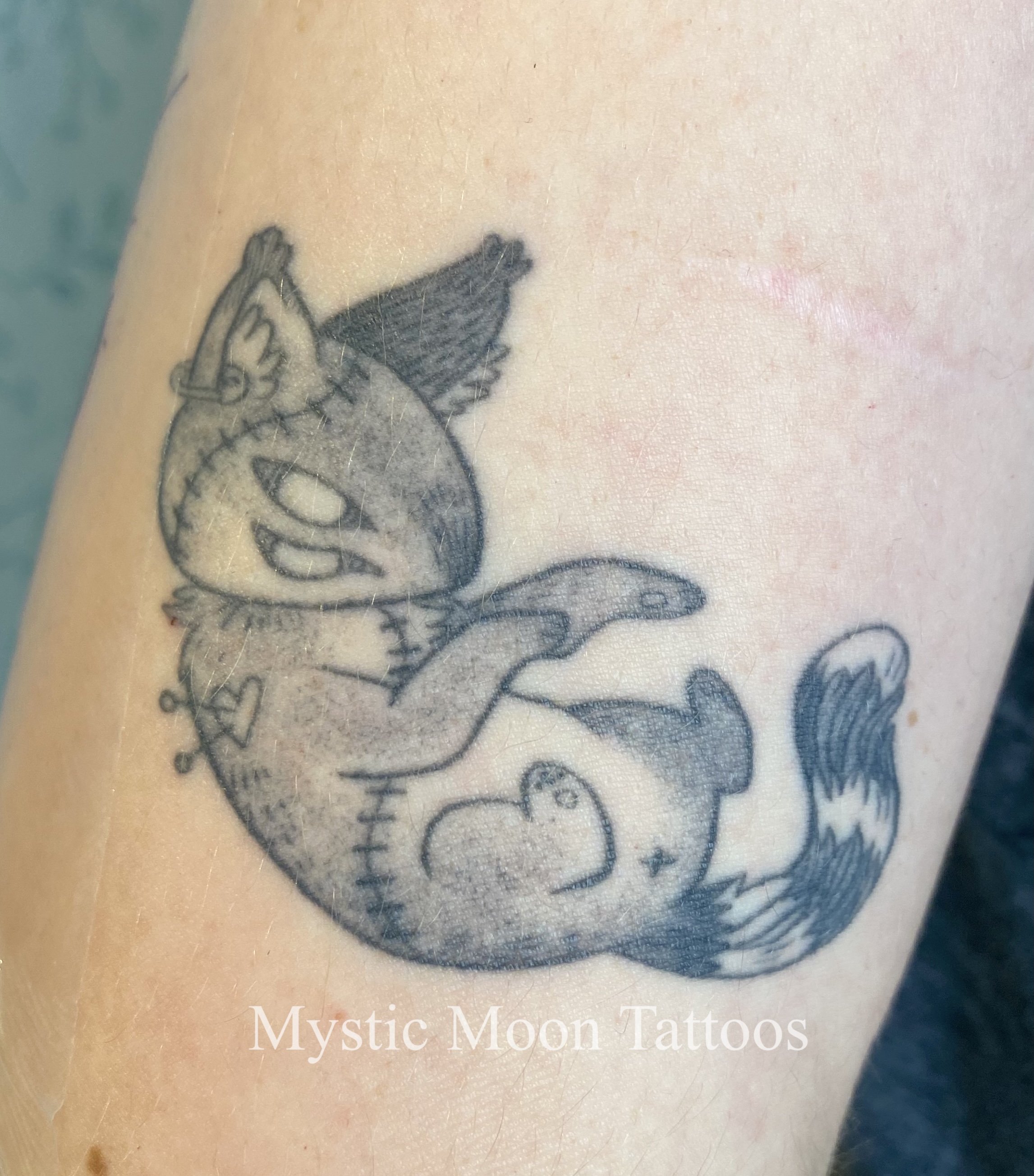 Stitched up goth/emo cat creature, all the little details healed up nicely!