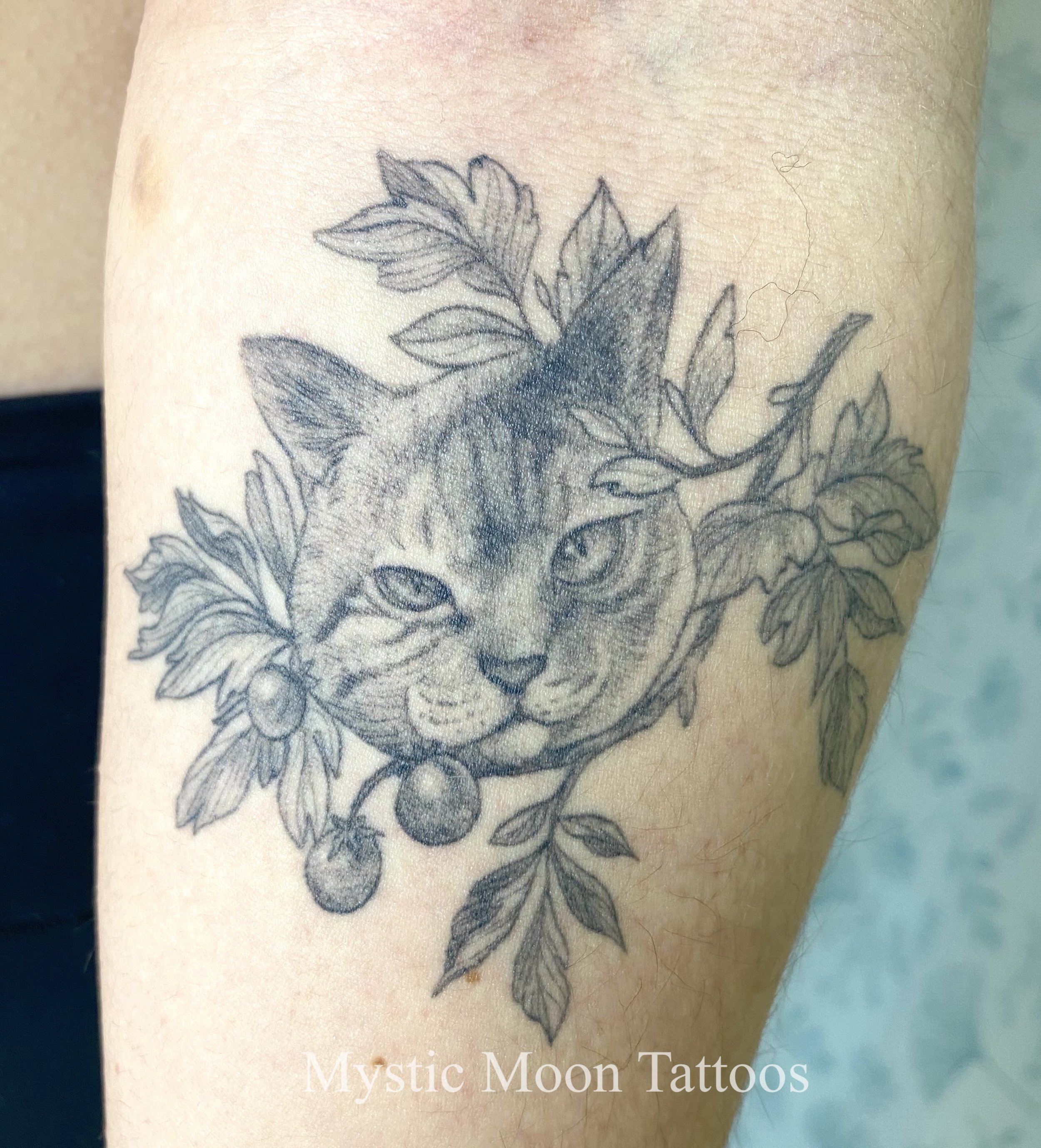 Tomato the cat! Nicely healed.