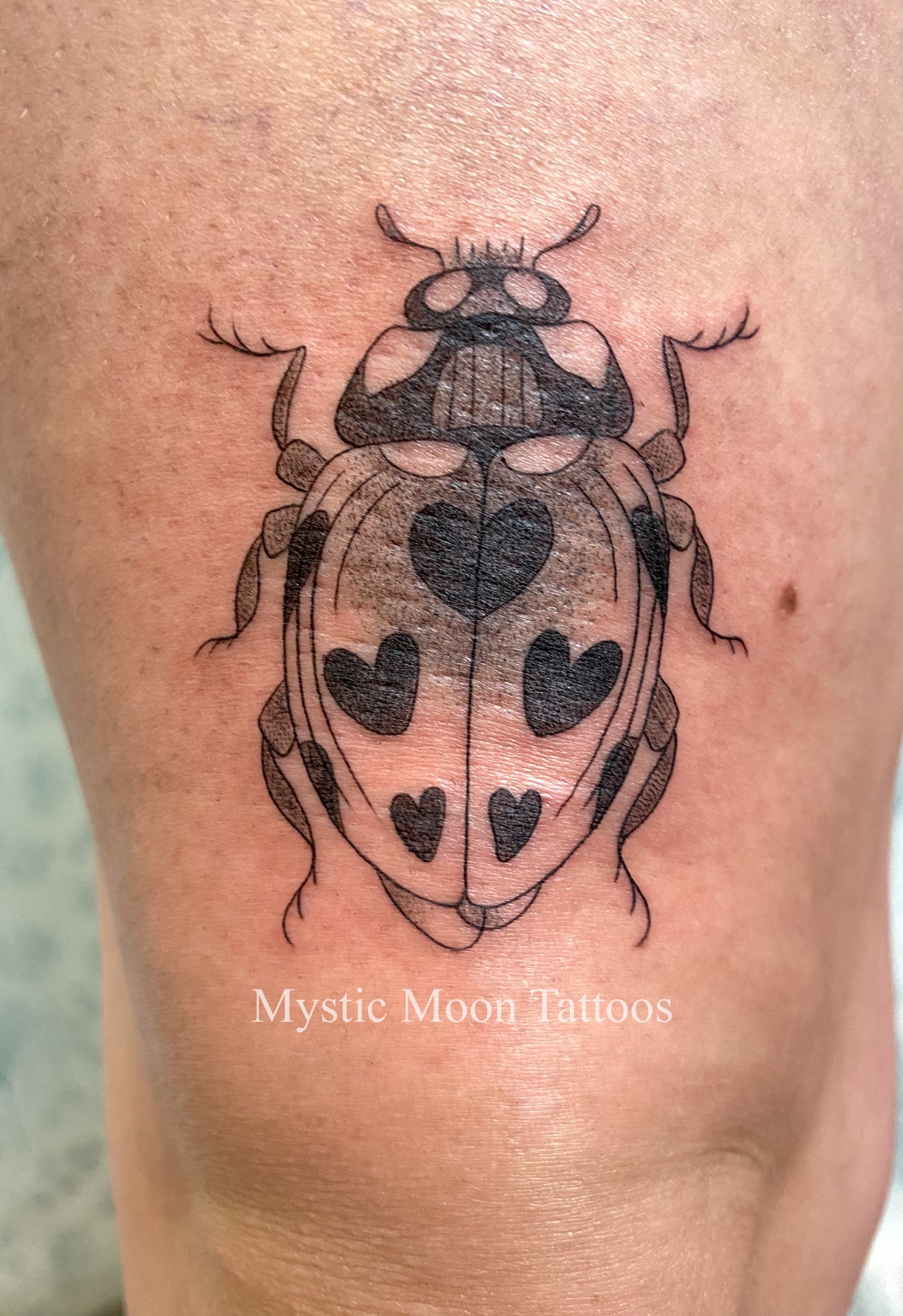 Ladybug and bee set!