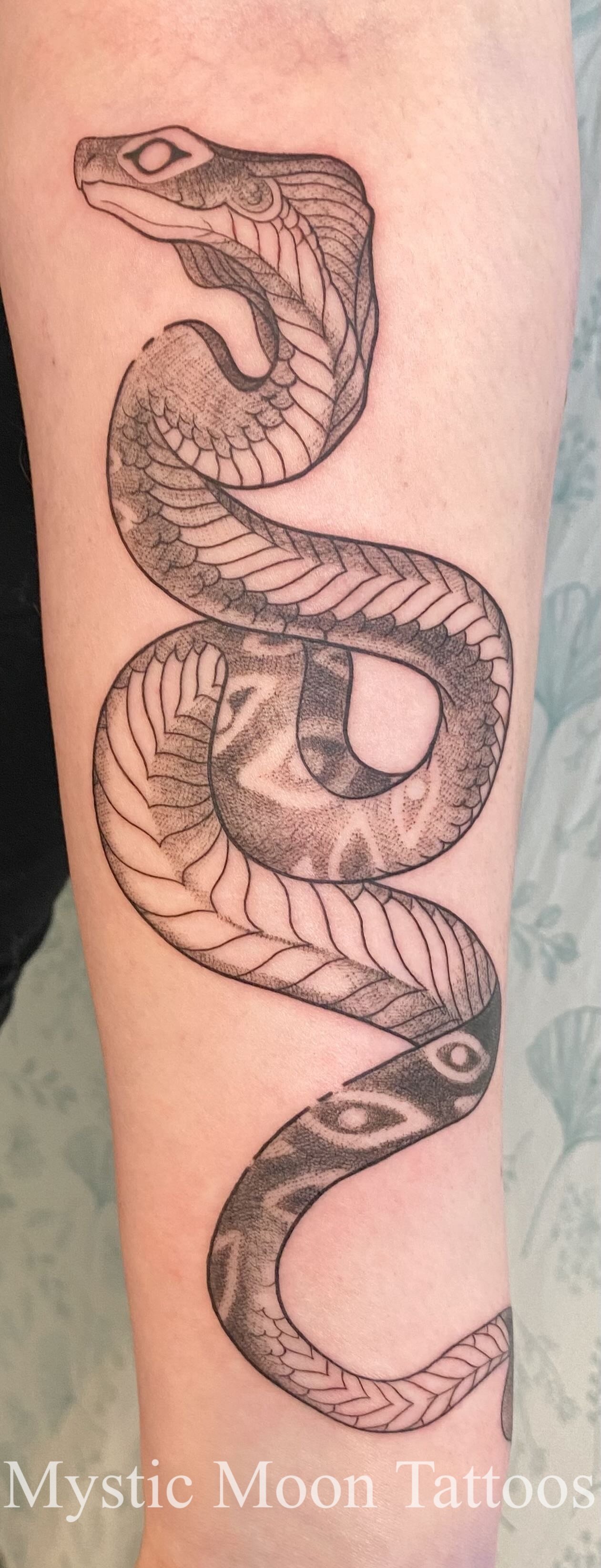 Cobra with eyes marked down it's back. Bold outline with fine details.
