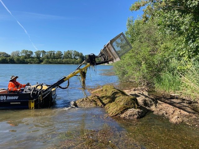 Bateau faucardeur avec panier qui décharge.jpg