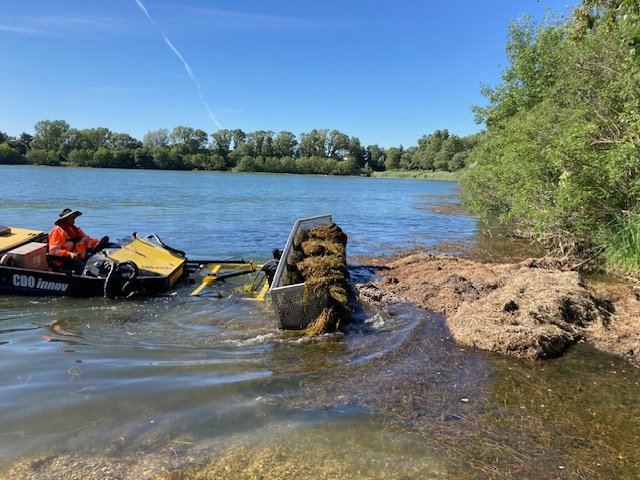 Bateau faucardeur avec panier qui charge.jpg