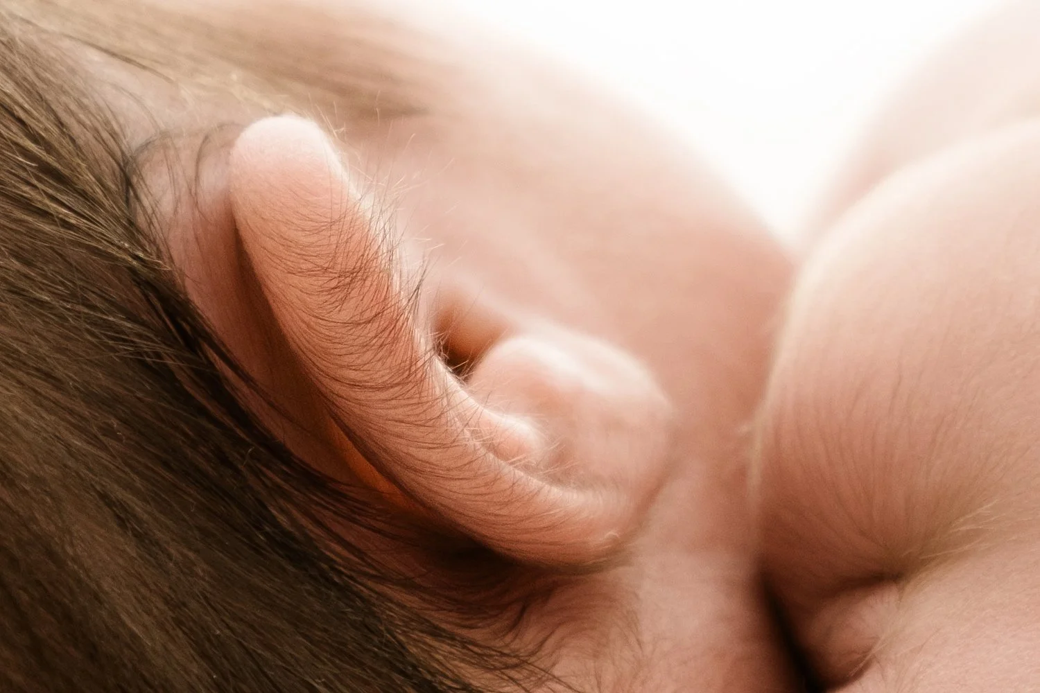 Intimate close up detail of a newborn baby's soft fuzzy ear captured in gentle natural light showcasing the quiet beauty of minimal newborn photography