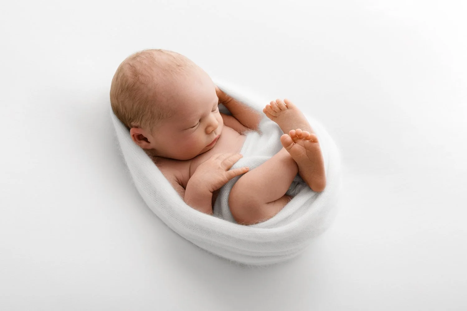 Natural newborn portrait by Ally Stuart-Ross Mabel and Moose Education