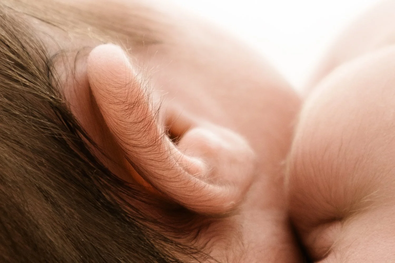 Close up of newborn baby ear showing fine hair and detail photographed by Ally Stuart-Ross Mabel and Moose