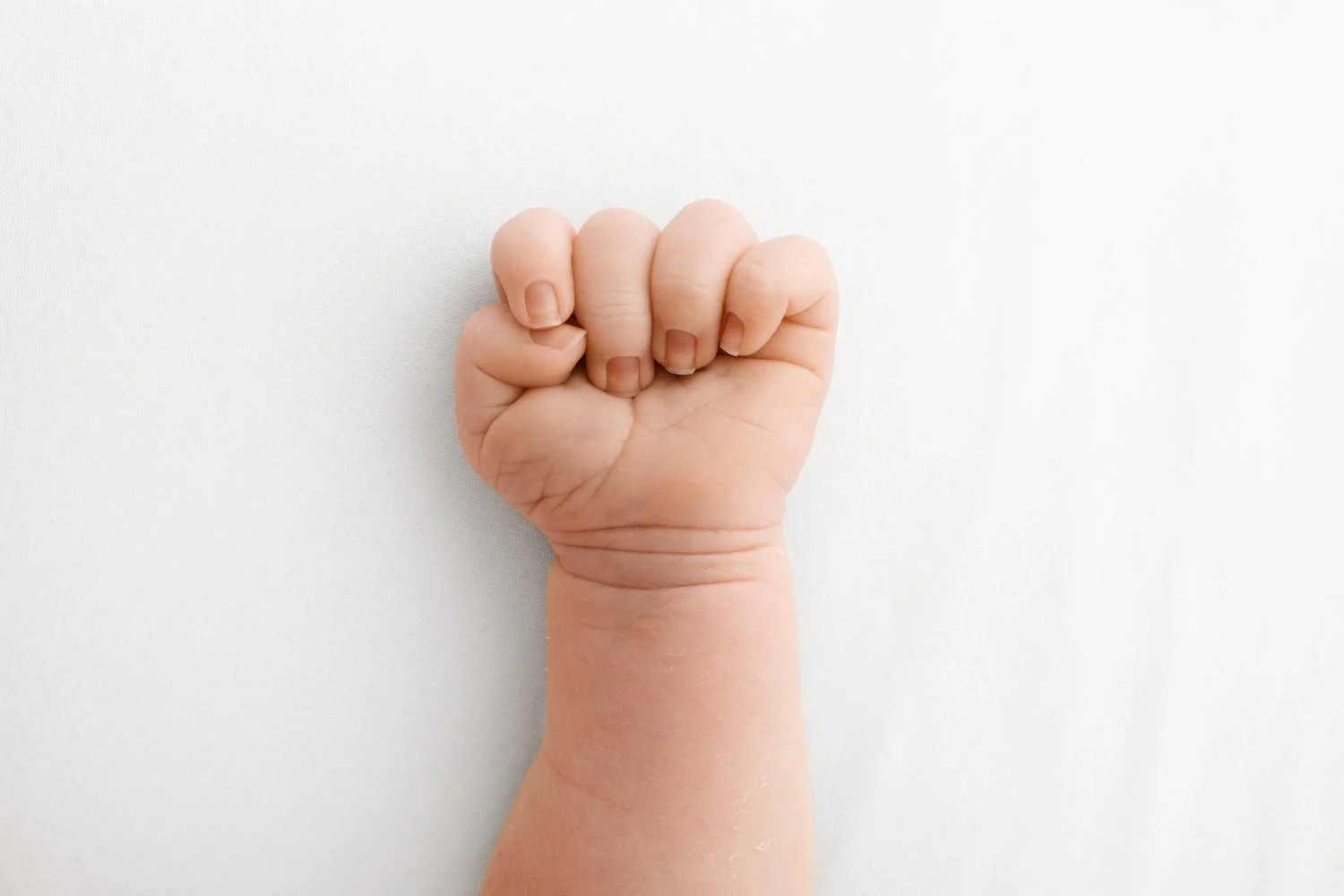 øNewborn baby clenched fist on white background photographed by Ally Stuart-Ross Mabel and Moose Education