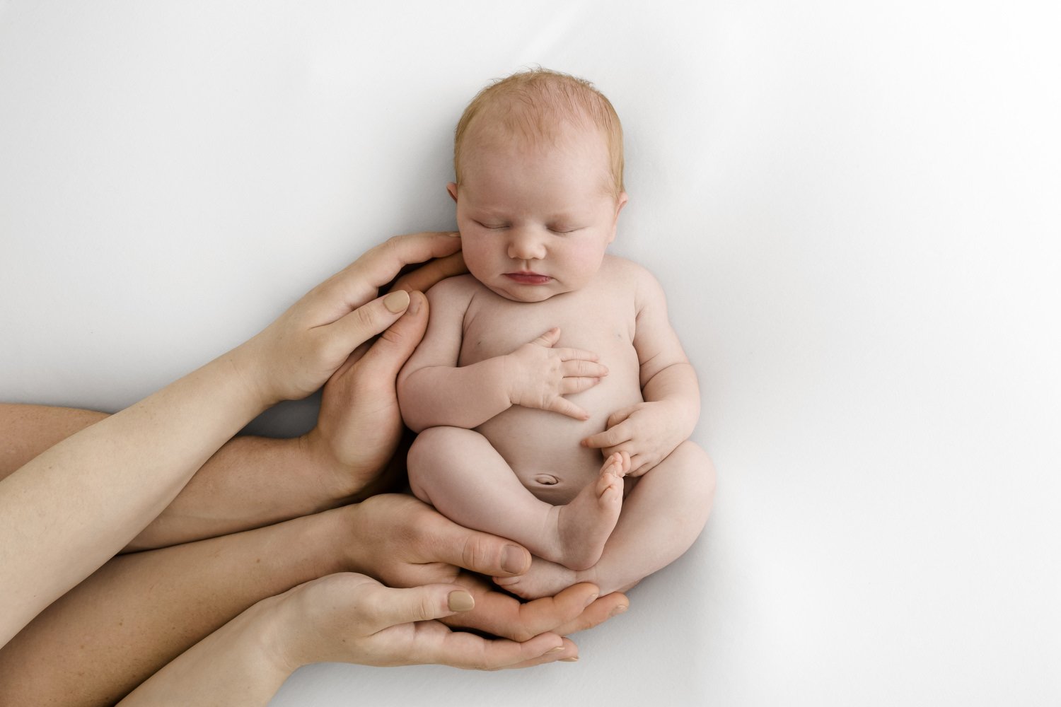 Newborn baby photographed by Ally Stuart-Ross Mabel and Moose Education