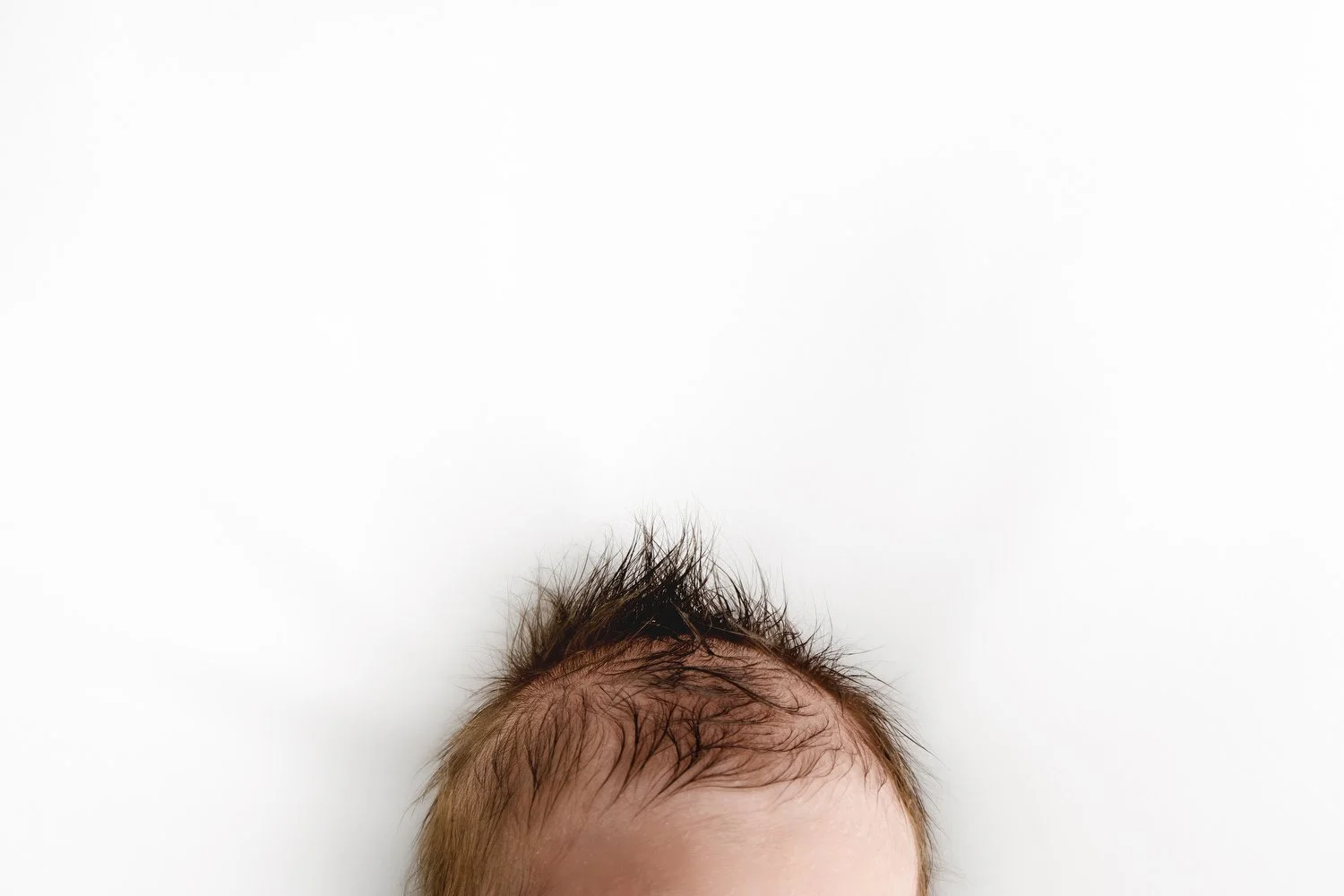 Newborn baby hair detail portrait at Mabel and Moose studio by Ally Stuart-Ross