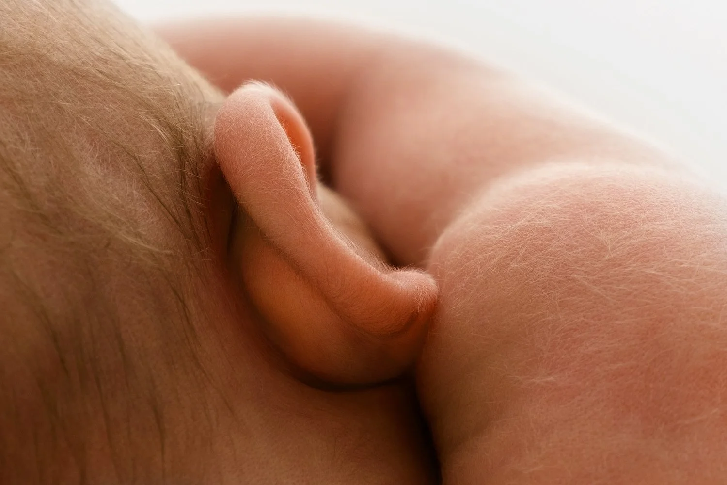 Newborn baby with fuzzy ears in delicate detail, sharp and in focus