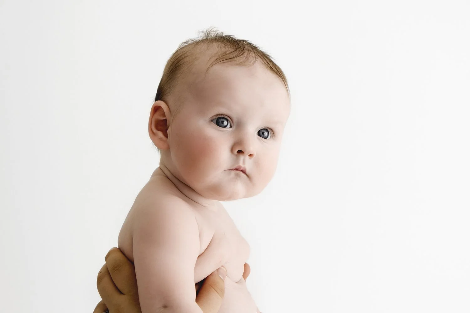 5 month old baby held sitting portrait by Ally Stuart-Ross Mabel and Moose Education