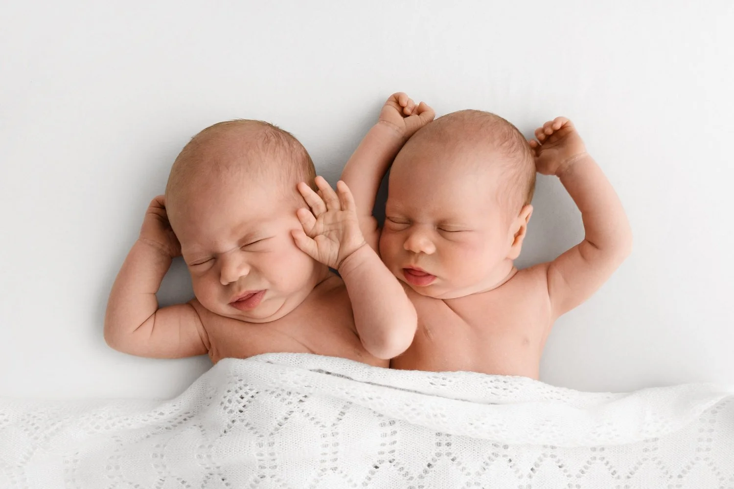 Overhead shot of identical newborn twins showing equal prominence by Ally Stuart-Ross Mabel and Moose Education