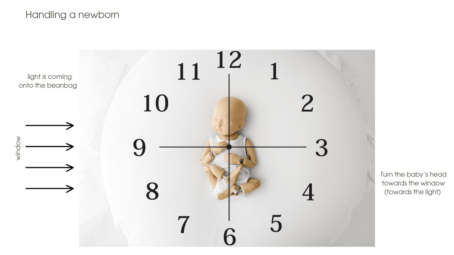 Slide from the Simple Six course demonstrating where to focus the camera on a newborn using the clock face method and StandInBaby at Mabel and Moose Education