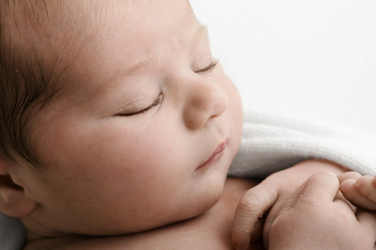 Newborn baby with soft background depth of field by Ally Stuart-Ross Mabel and Moose Education