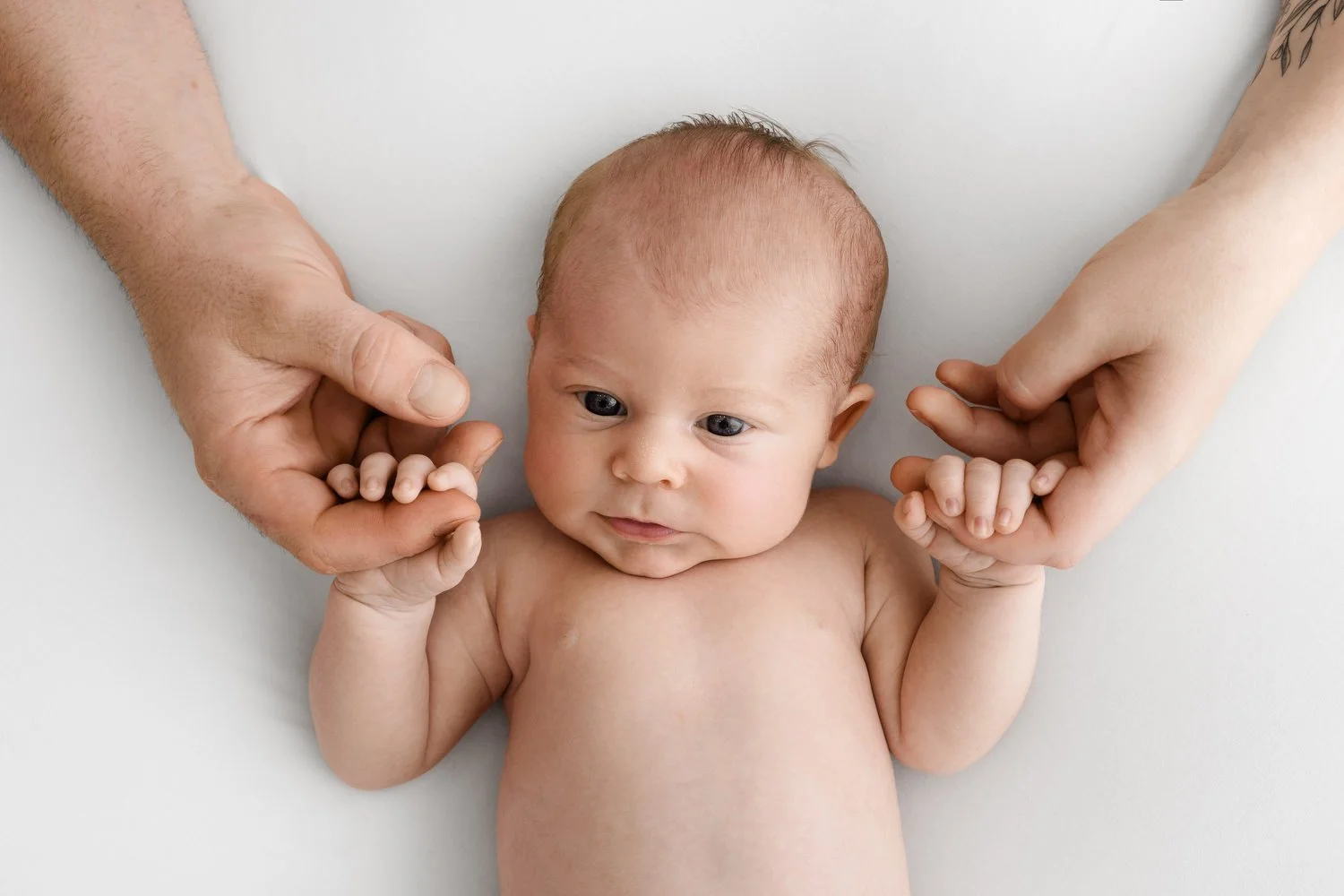 Parent hands holding awake newborn baby at Mabel and Moose studio by Ally Stuart-Ross