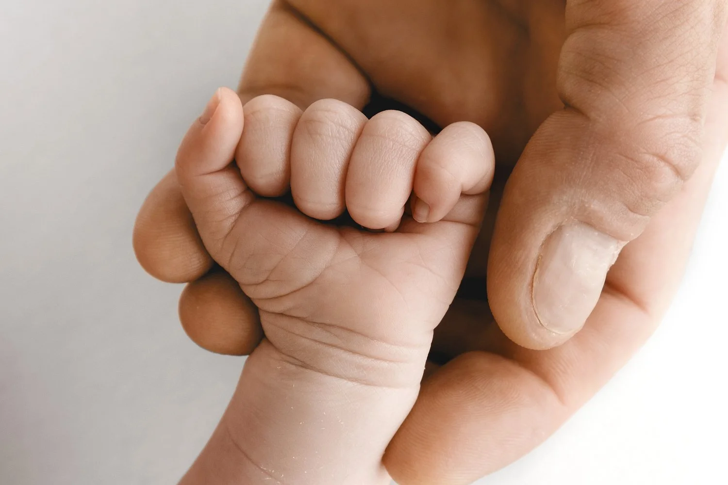 Newborn baby fist held in parent's hand detail shot by Ally Stuart-Ross Mabel and Moose newborn photography