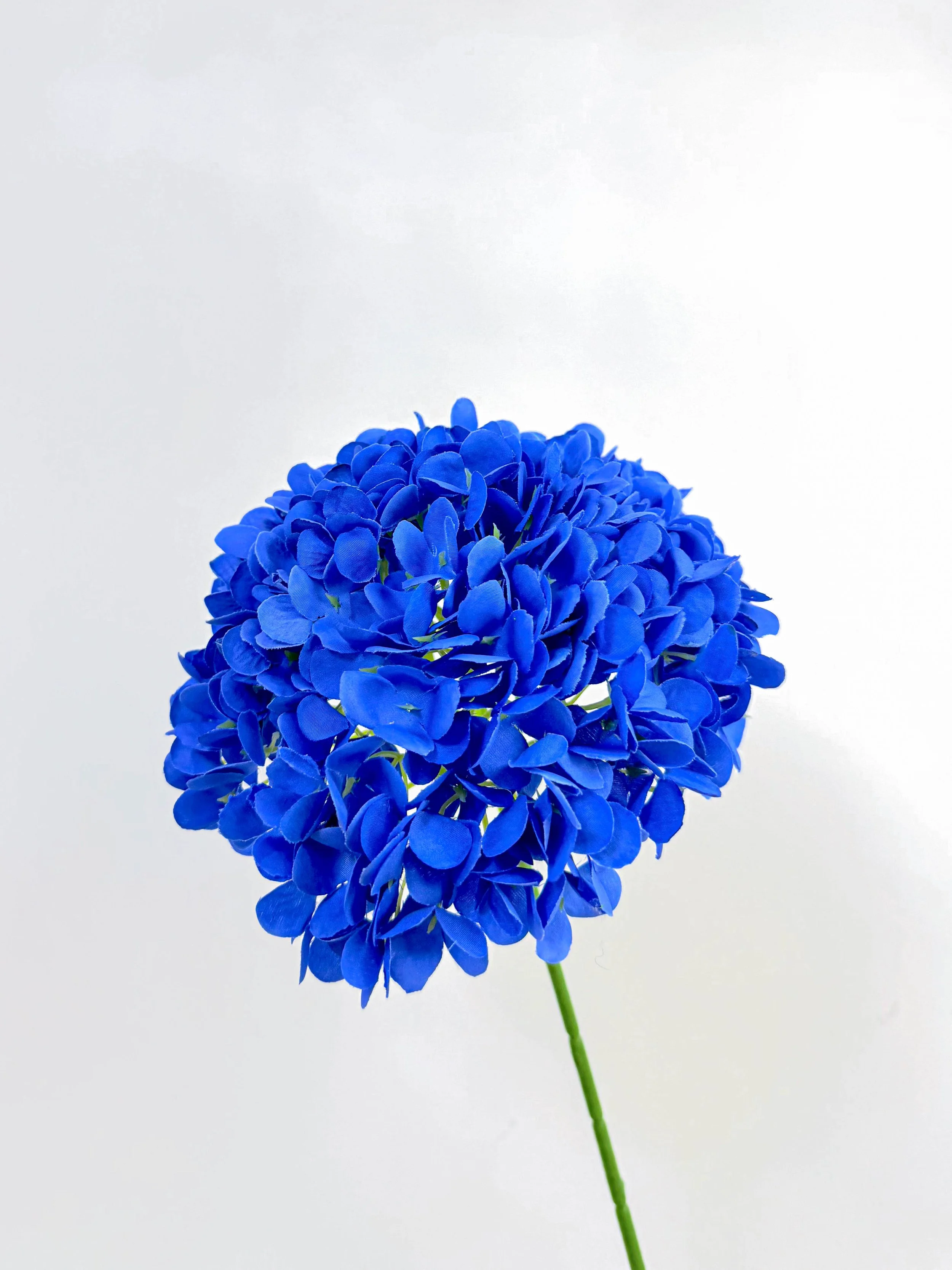 216 Petals Hydrangea (Royal Blue)