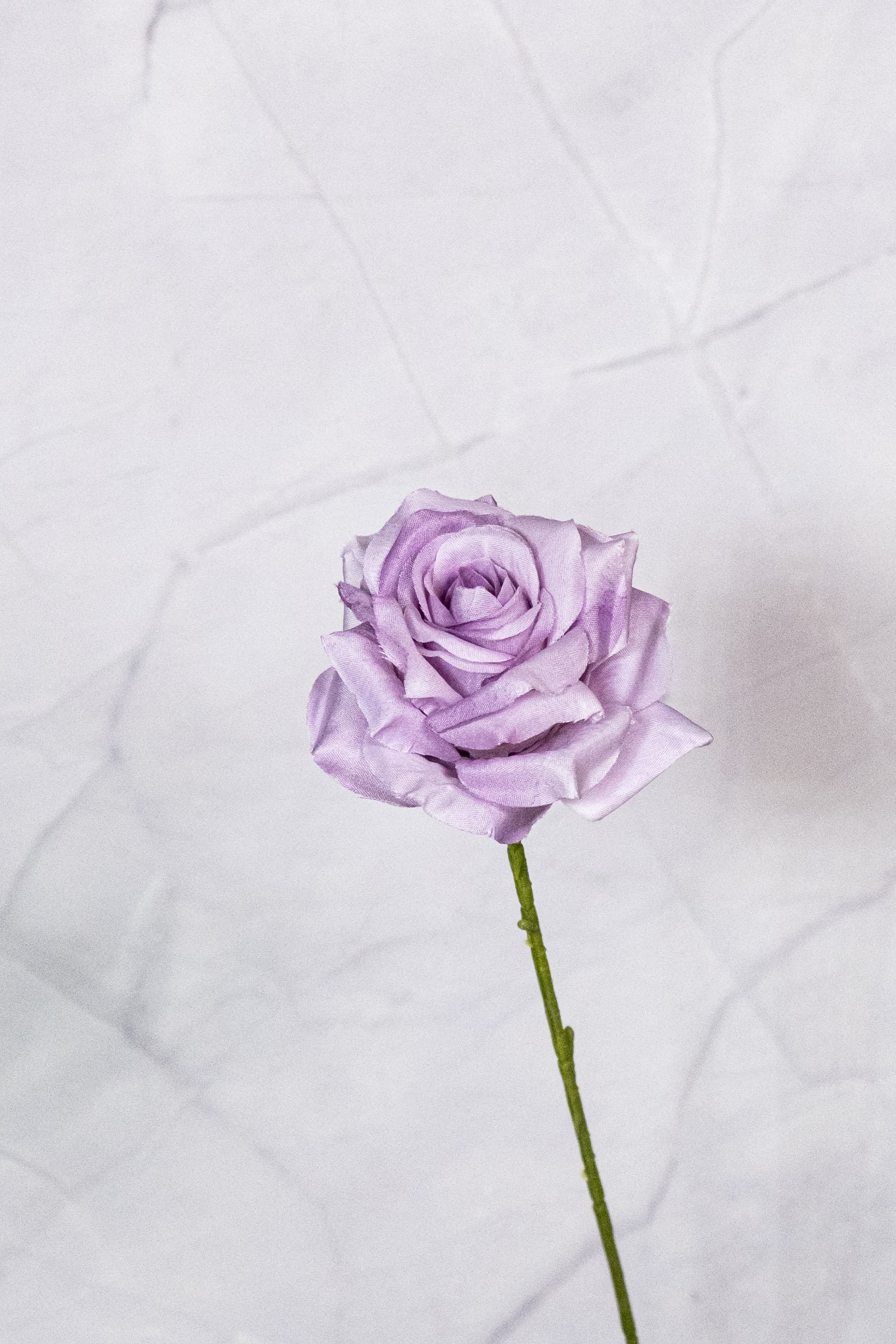 Lilac Rose Single Stem