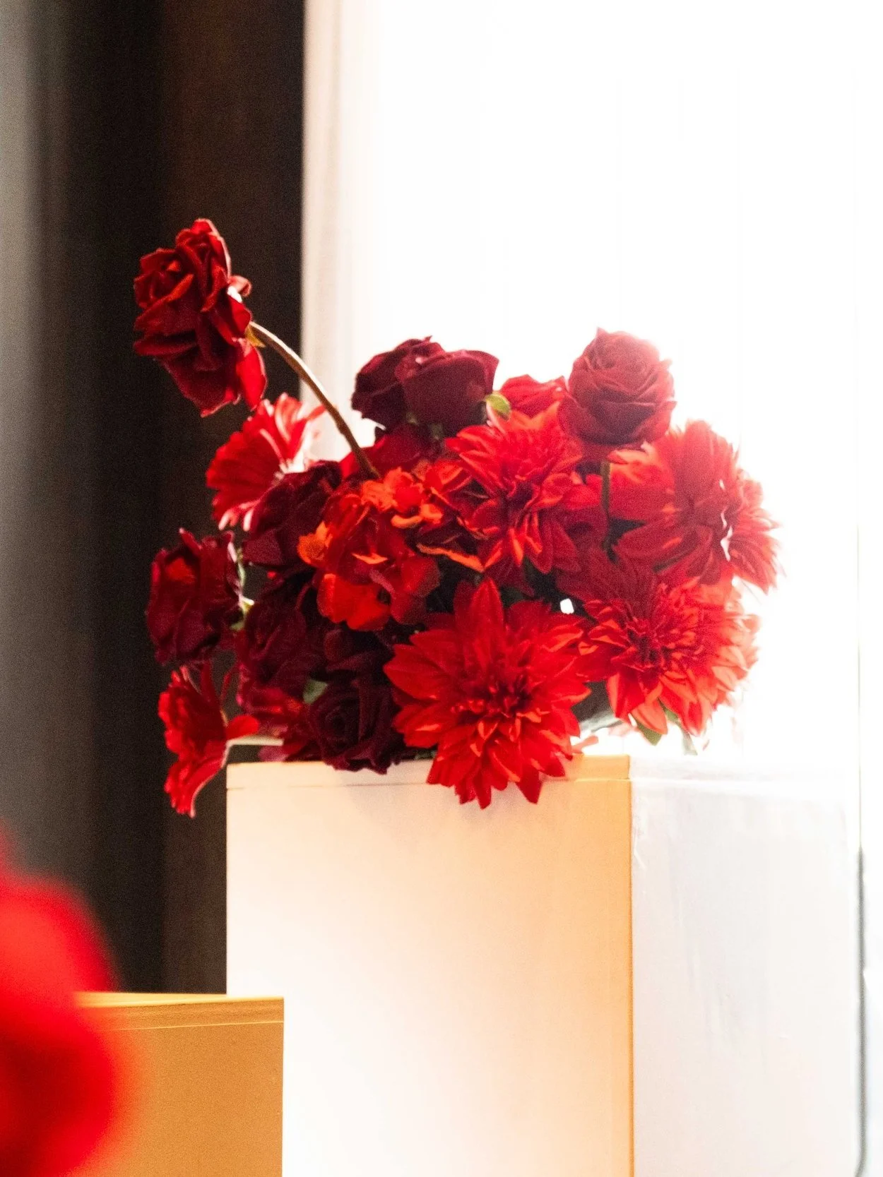 DSCF7081.jpg