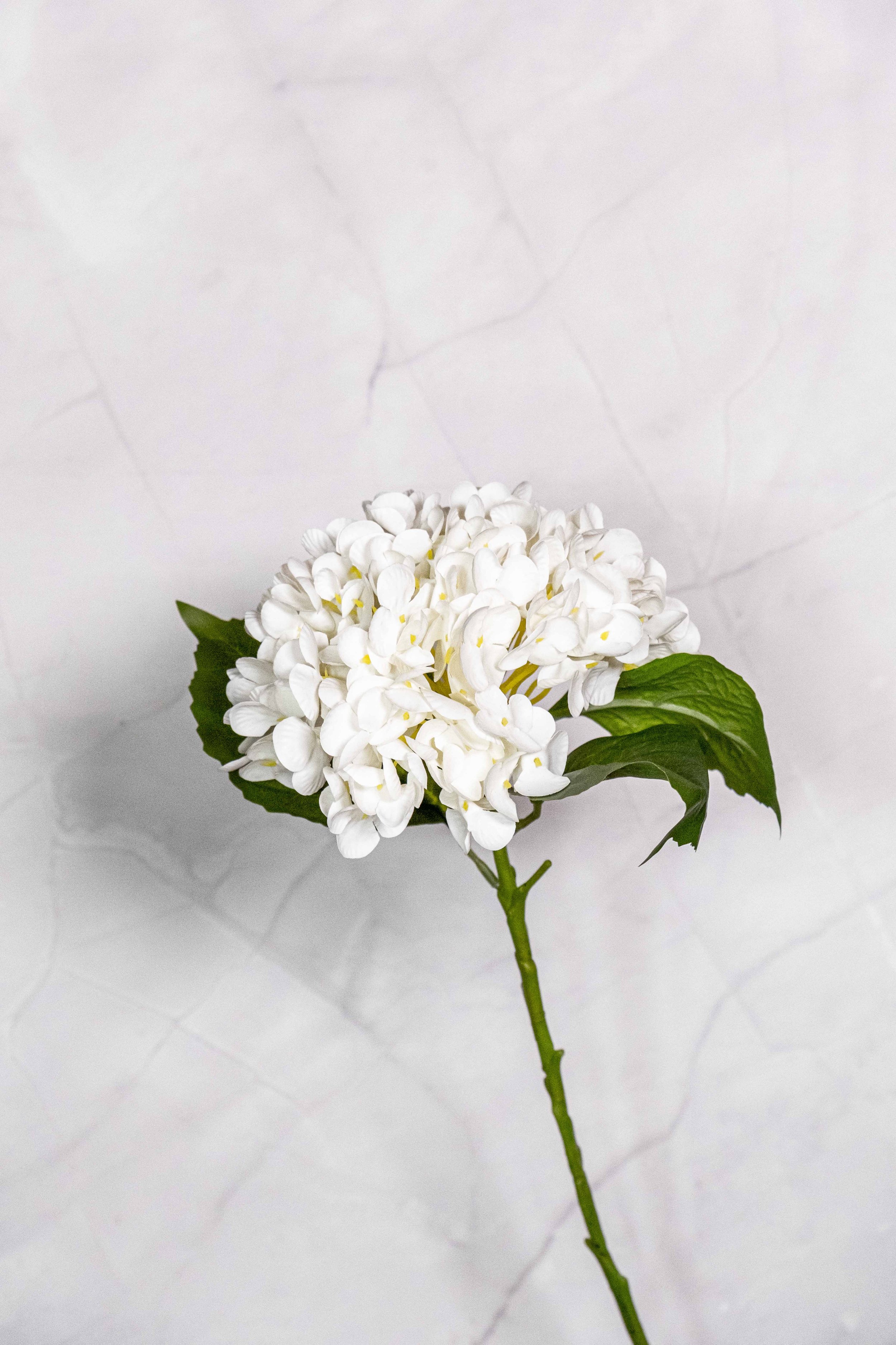 132 Petals White Real Touch Hydrangea