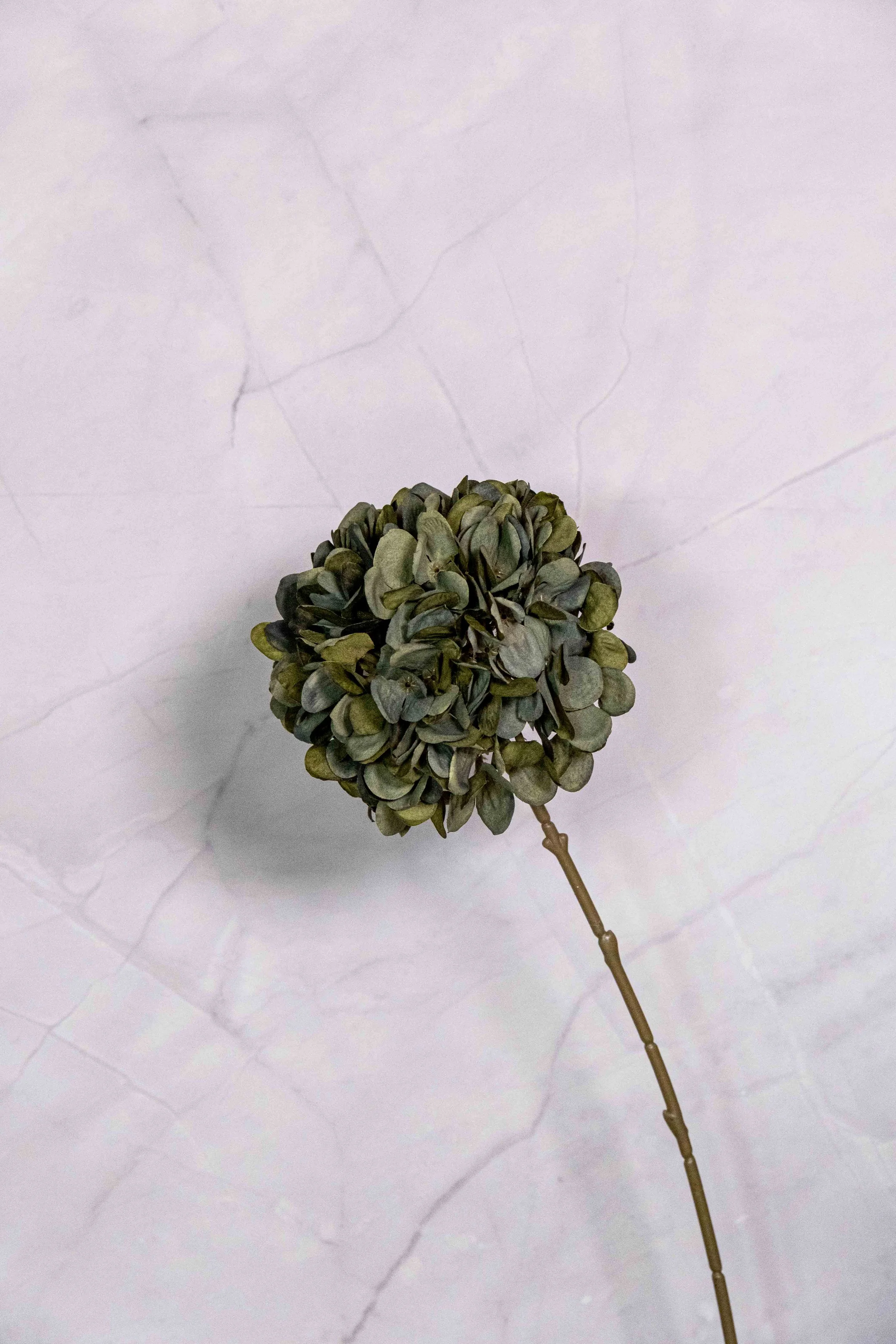 Lollipop Dark Green Hydrangea