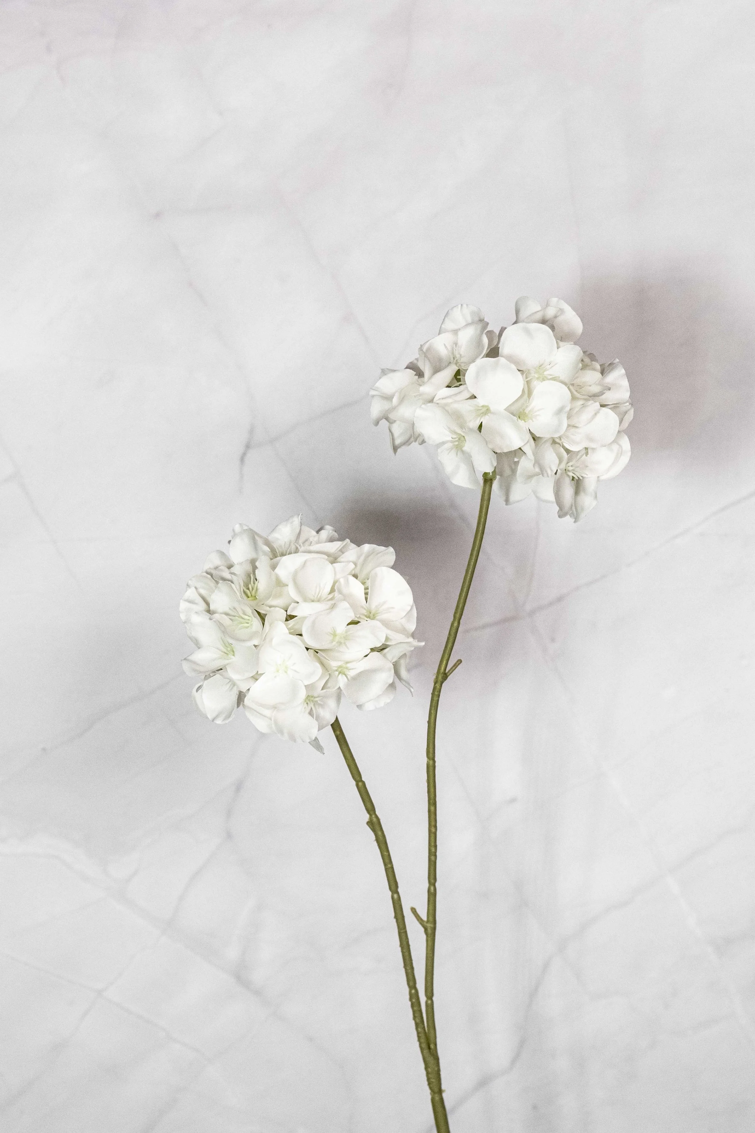 2 Heads White Hydrangea