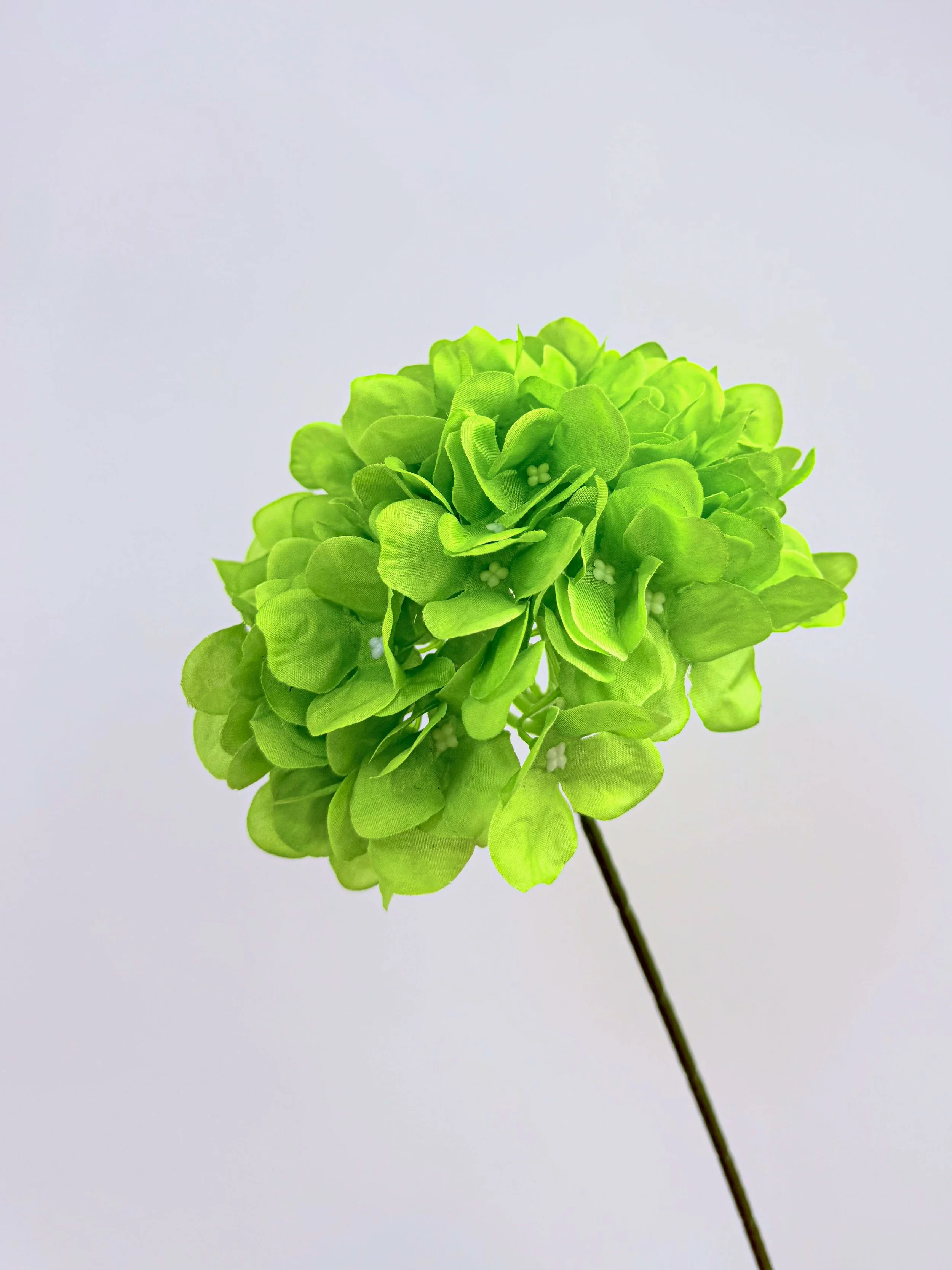 72 Petals Hydrangea (Green)