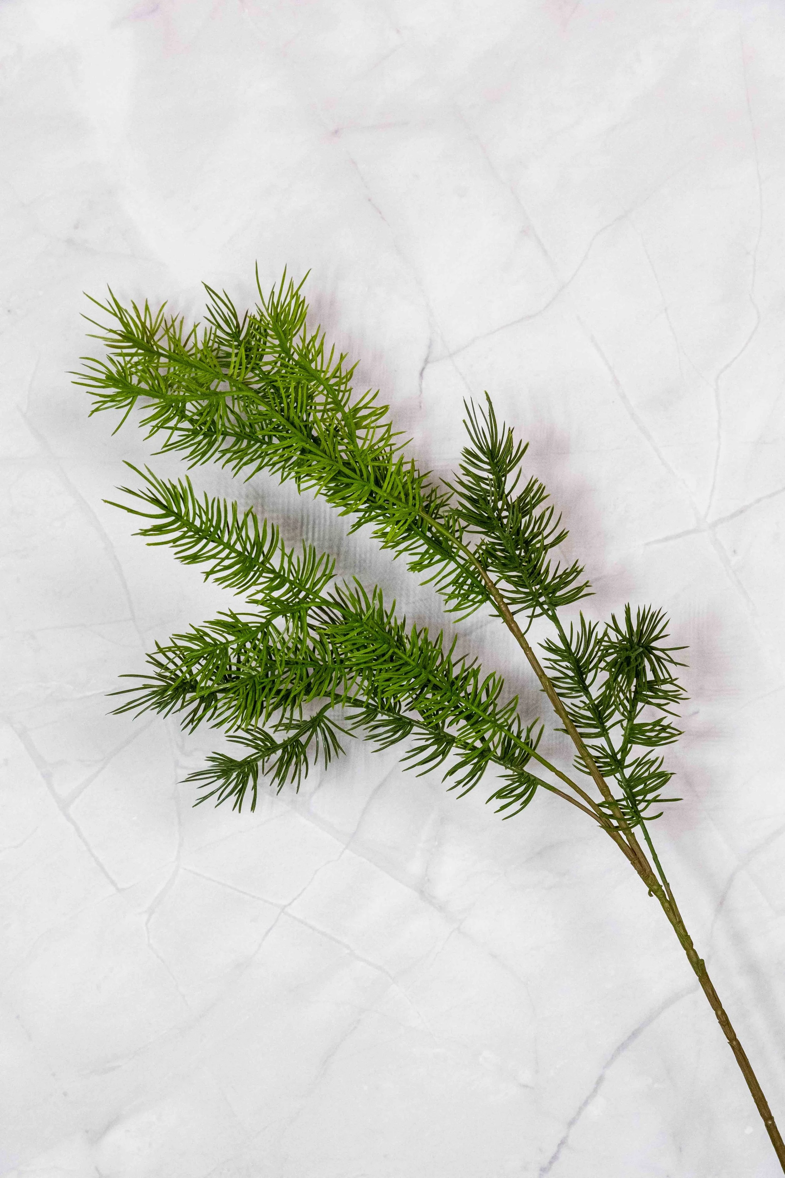 Pine Needles