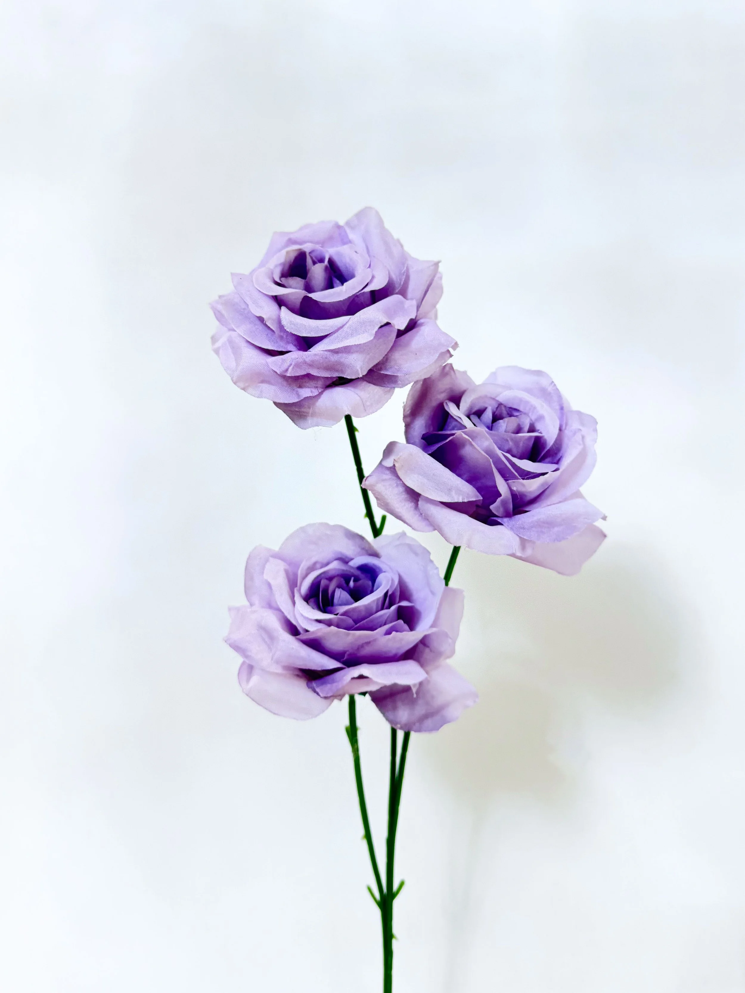 Three-Head Rose (Light Purple)