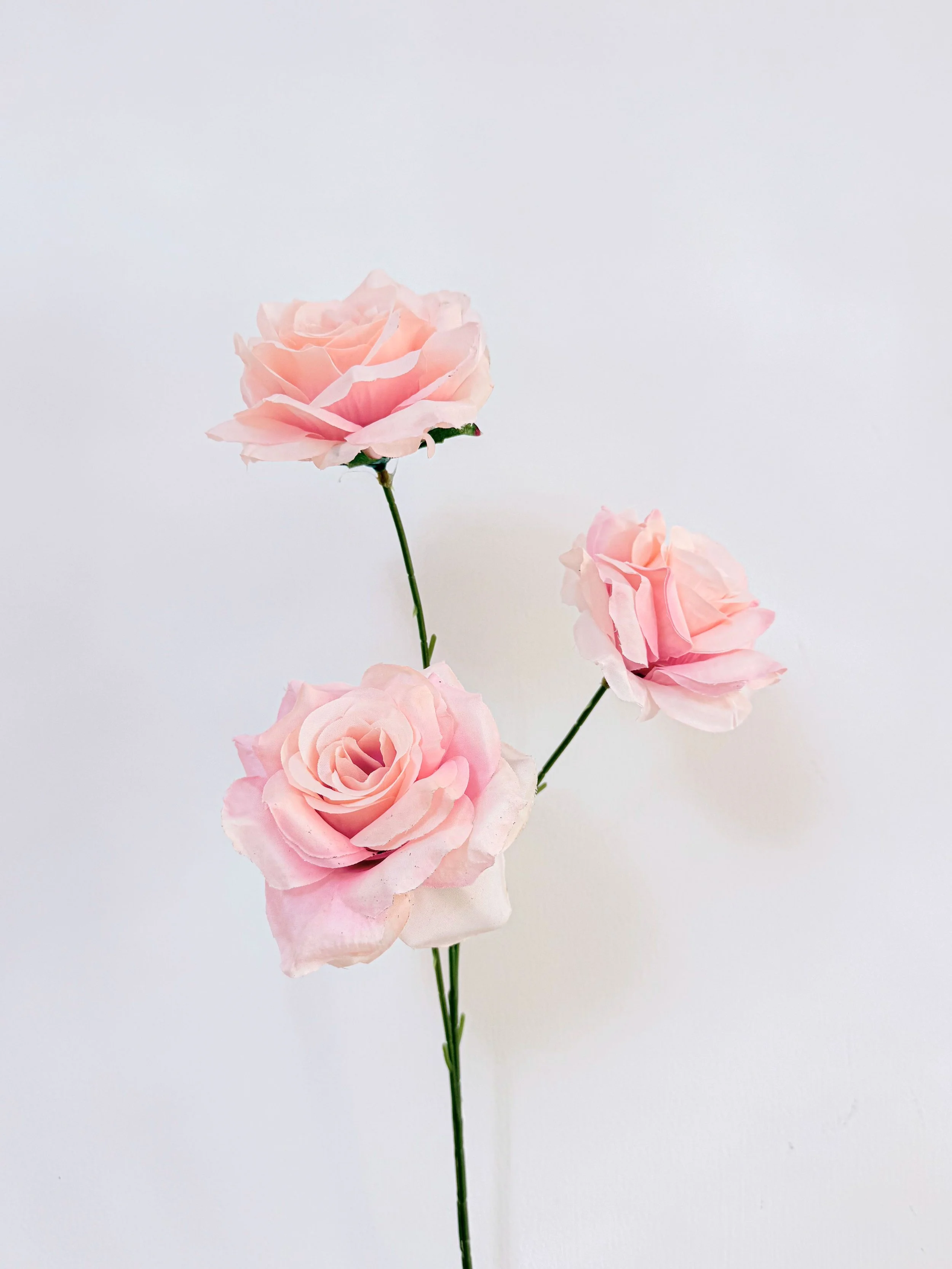 Three-Head Rose (Light Pink)