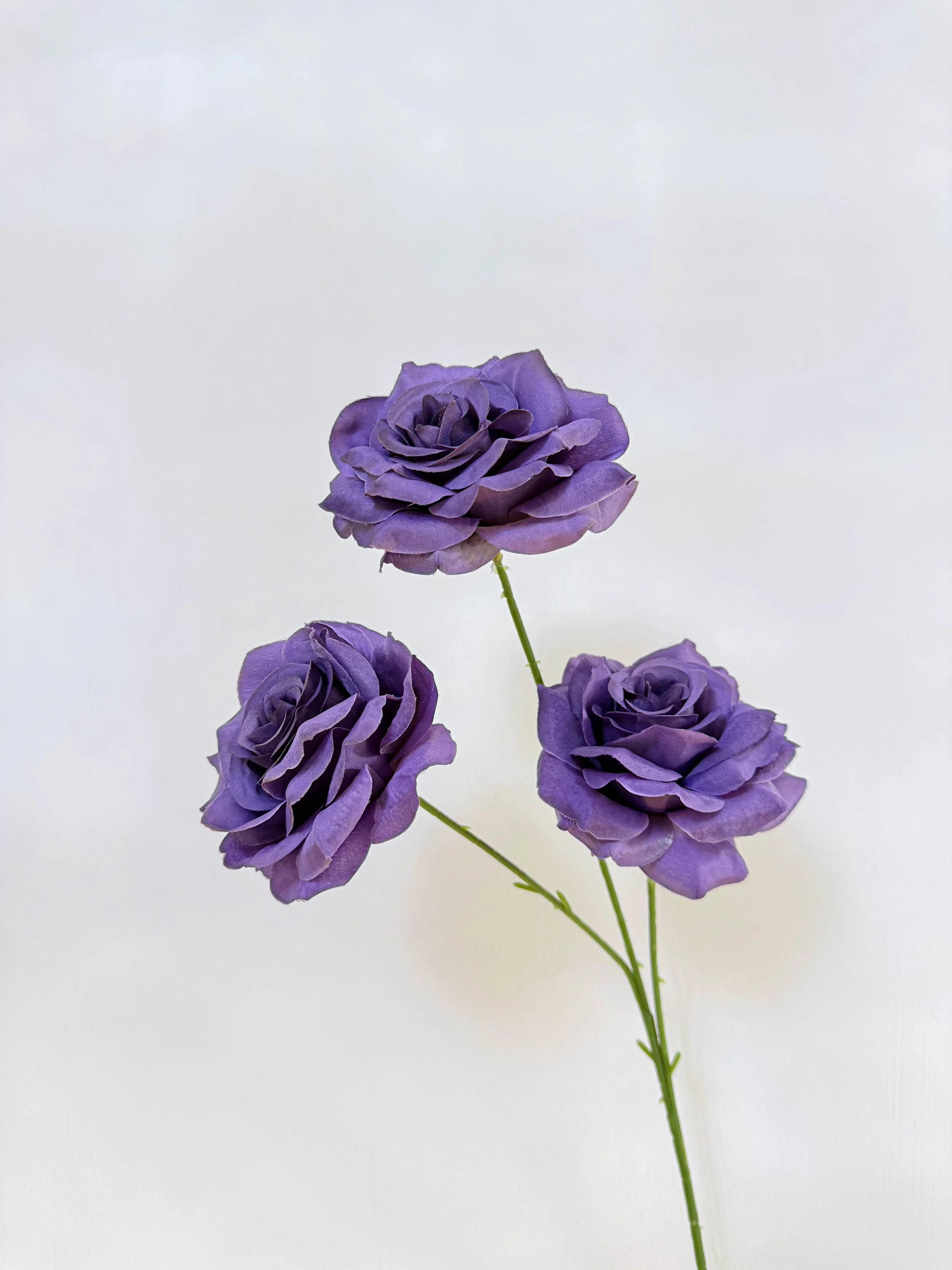 Three-Head Rose (Dark Purple)