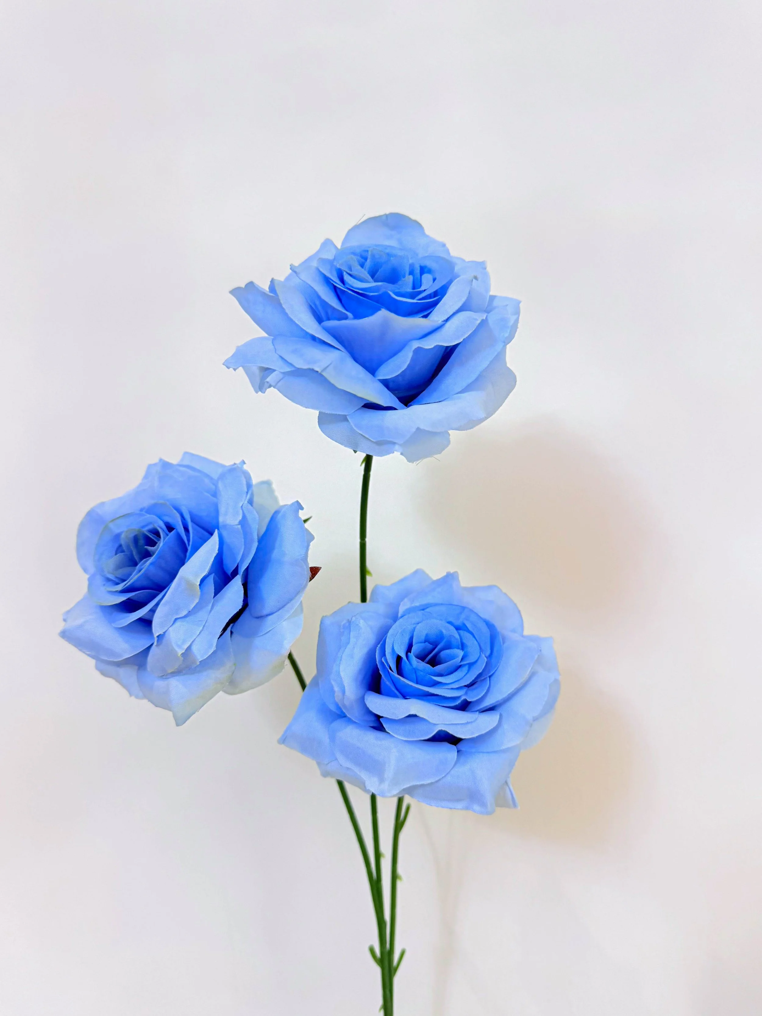 Three-Head Rose (Light Blue)