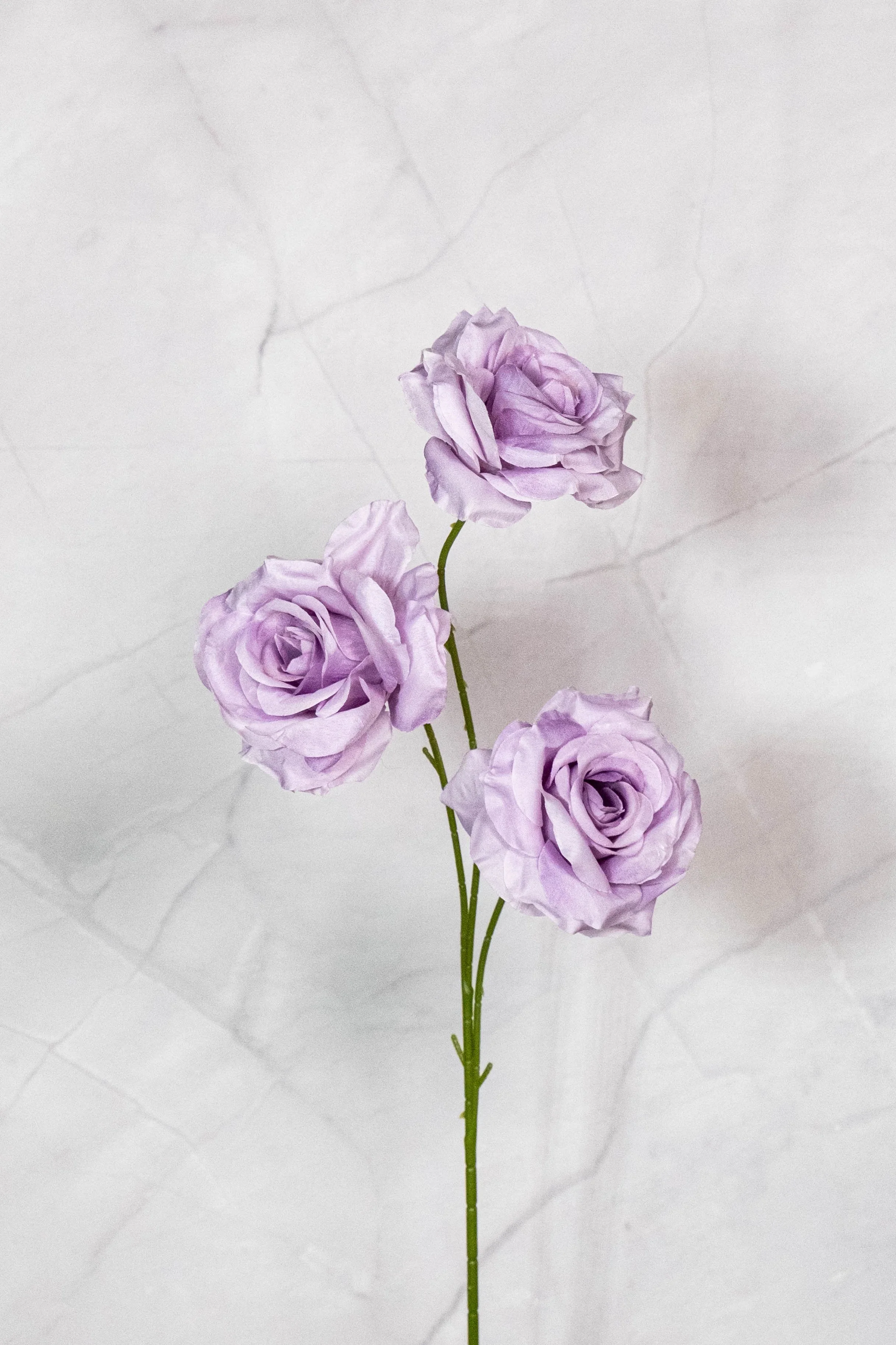 3 Heads Lilac Roses