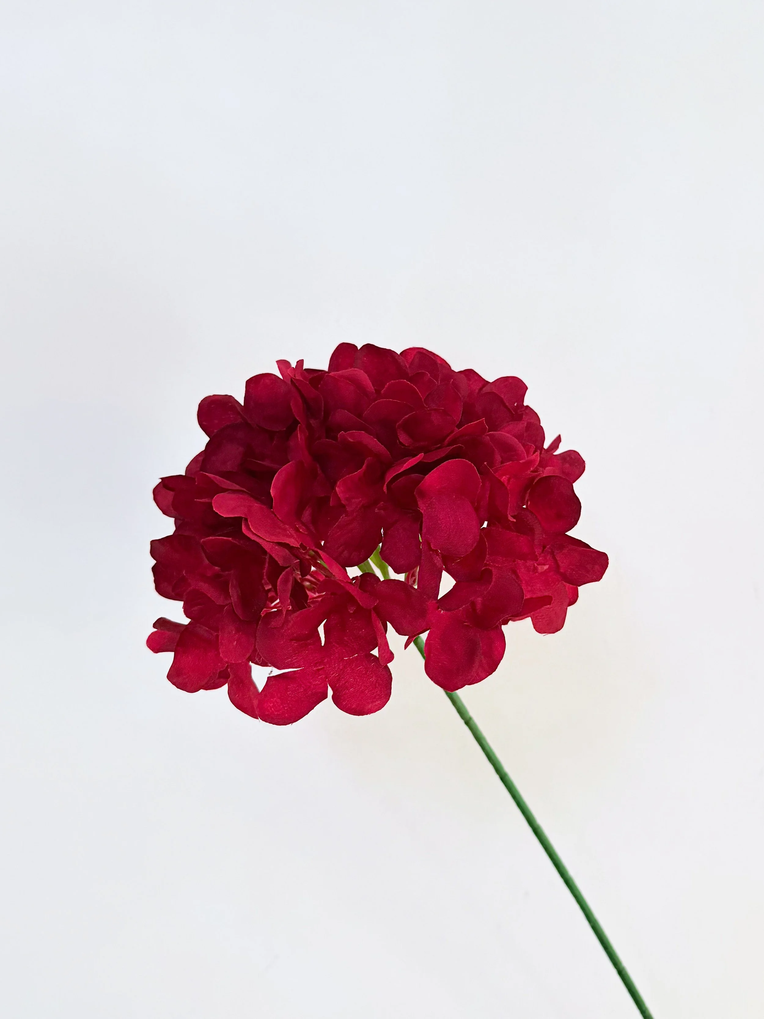72 Petals Hydrangea (Red)